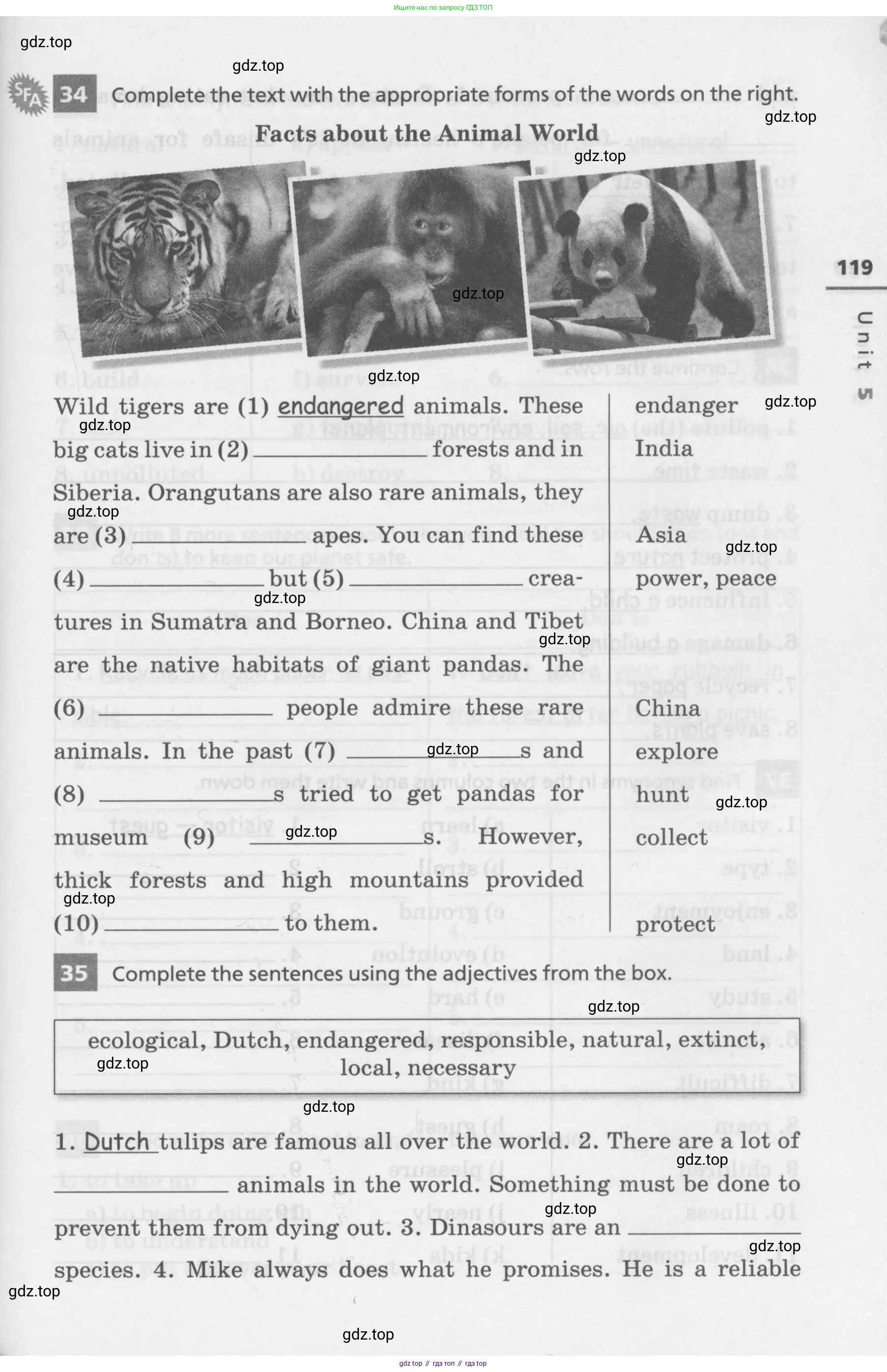 Английский язык (english), 7 класс Лексико-грамматический практикум, авторы: Афанасьева Ольга Васильевна (Afanasyeva Olga), Михеева Ирина Владимировна (Mikheeva Irina), Баранова Ксения Михайловна (Baranova Ksenia), издательство Просвещение, Москва, 2016, белого цвета, страница 119