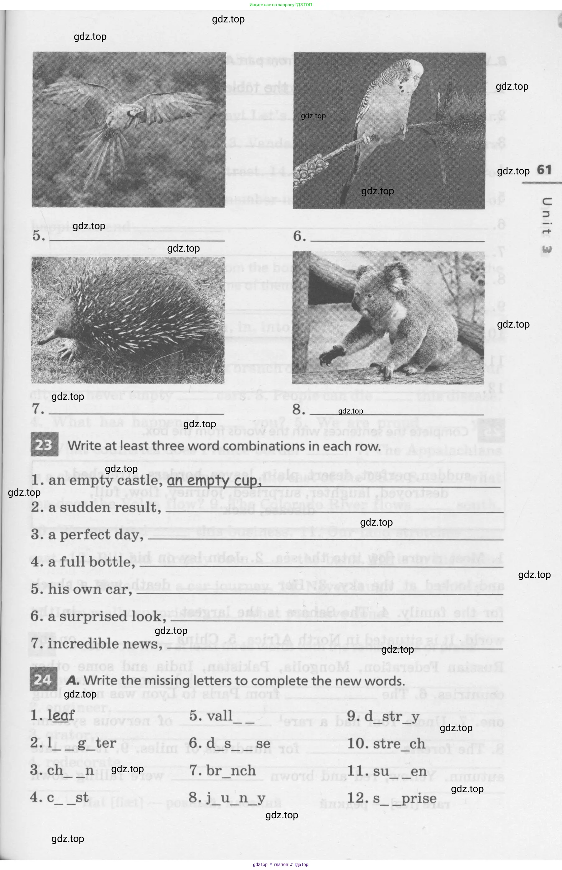 Английский язык (english), 7 класс Лексико-грамматический практикум, авторы: Афанасьева Ольга Васильевна (Afanasyeva Olga), Михеева Ирина Владимировна (Mikheeva Irina), Баранова Ксения Михайловна (Baranova Ksenia), издательство Просвещение, Москва, 2016, белого цвета, страница 61