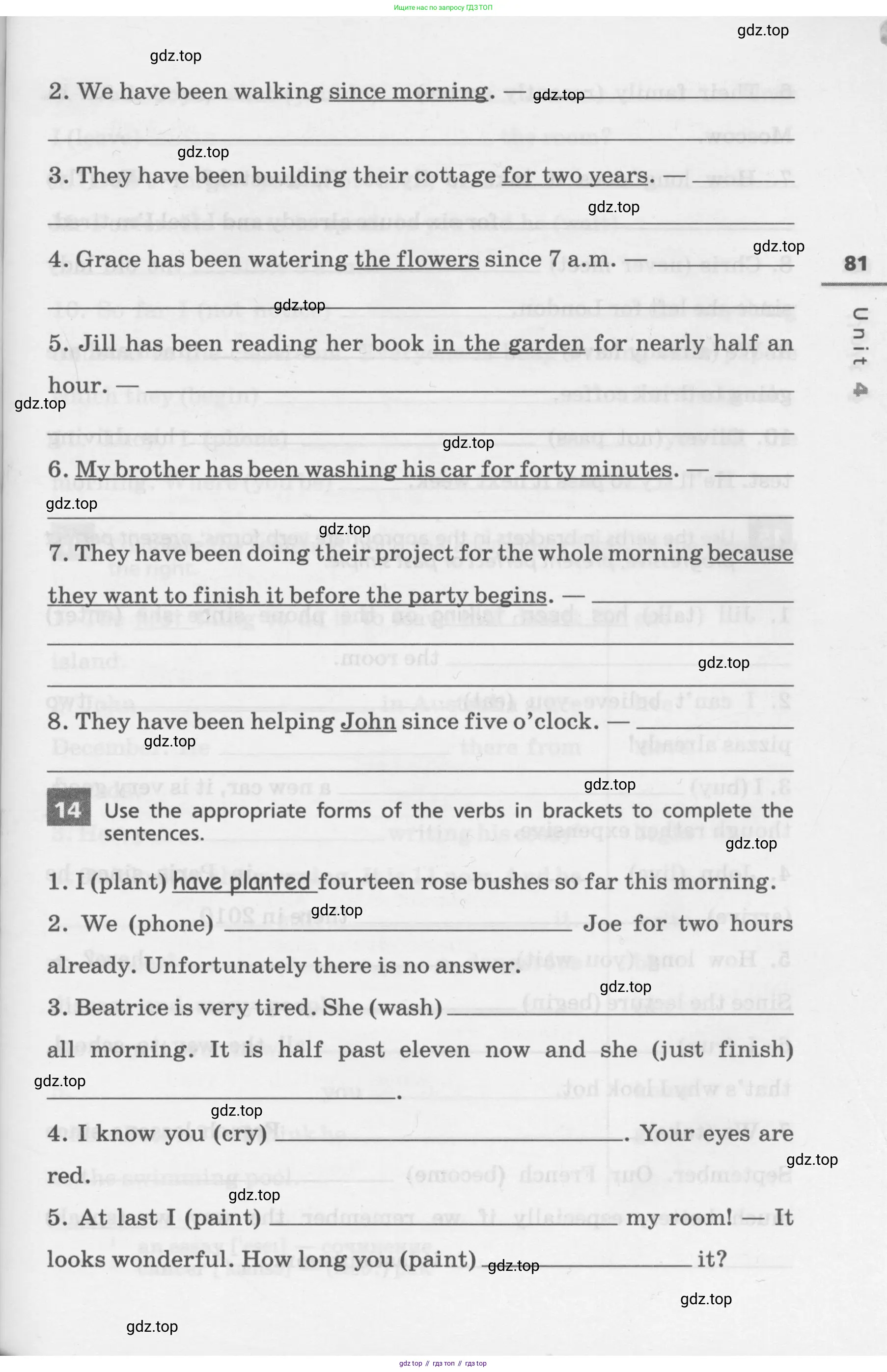 Английский язык (english), 7 класс Лексико-грамматический практикум, авторы: Афанасьева Ольга Васильевна (Afanasyeva Olga), Михеева Ирина Владимировна (Mikheeva Irina), Баранова Ксения Михайловна (Baranova Ksenia), издательство Просвещение, Москва, 2016, белого цвета, страница 81