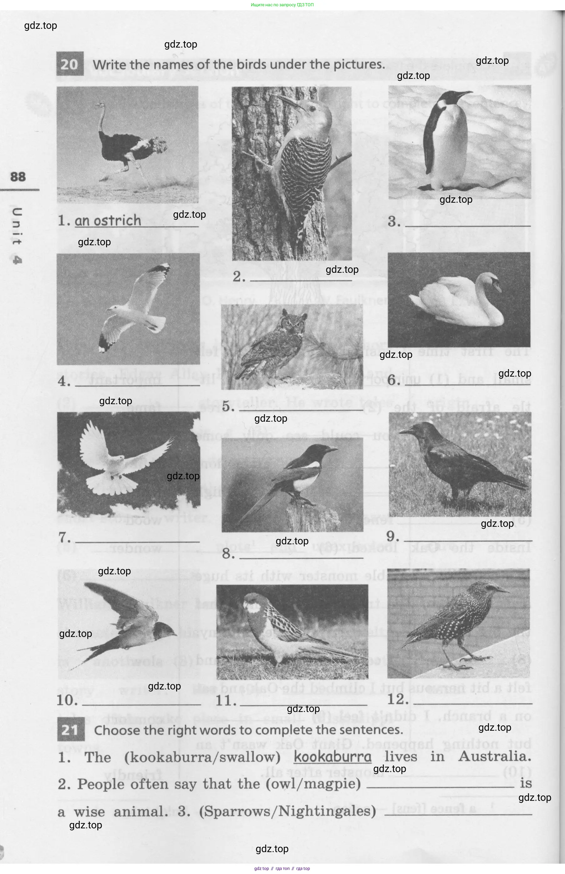 Английский язык (english), 7 класс Лексико-грамматический практикум, авторы: Афанасьева Ольга Васильевна (Afanasyeva Olga), Михеева Ирина Владимировна (Mikheeva Irina), Баранова Ксения Михайловна (Baranova Ksenia), издательство Просвещение, Москва, 2016, белого цвета, страница 88