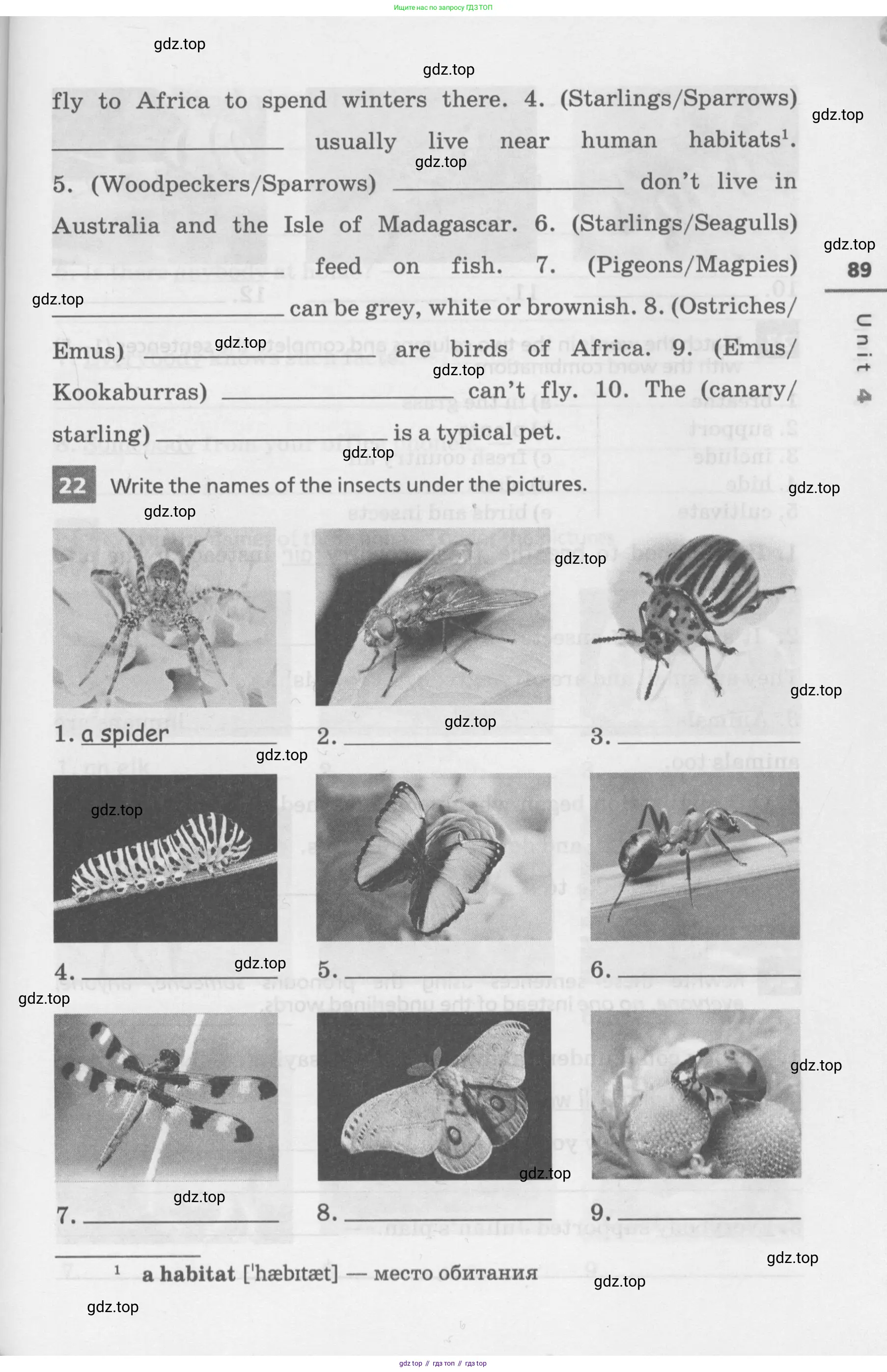 Английский язык (english), 7 класс Лексико-грамматический практикум, авторы: Афанасьева Ольга Васильевна (Afanasyeva Olga), Михеева Ирина Владимировна (Mikheeva Irina), Баранова Ксения Михайловна (Baranova Ksenia), издательство Просвещение, Москва, 2016, белого цвета, страница 89