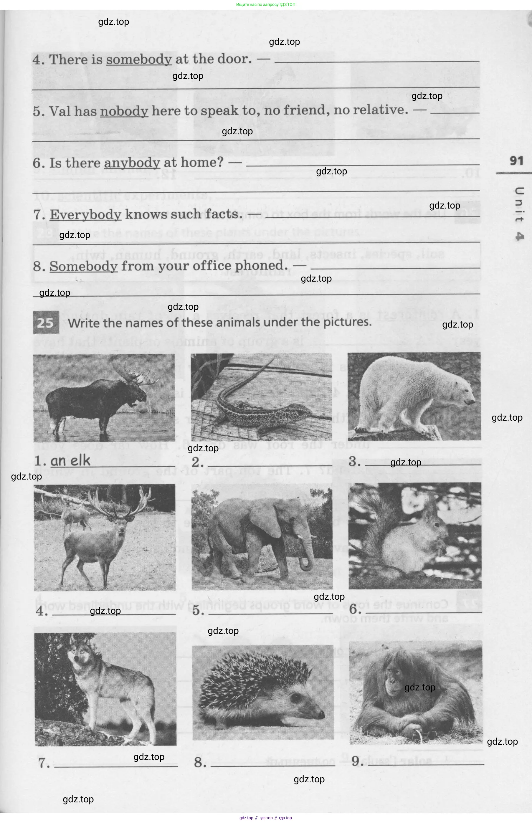 Английский язык (english), 7 класс Лексико-грамматический практикум, авторы: Афанасьева Ольга Васильевна (Afanasyeva Olga), Михеева Ирина Владимировна (Mikheeva Irina), Баранова Ксения Михайловна (Baranova Ksenia), издательство Просвещение, Москва, 2016, белого цвета, страница 91