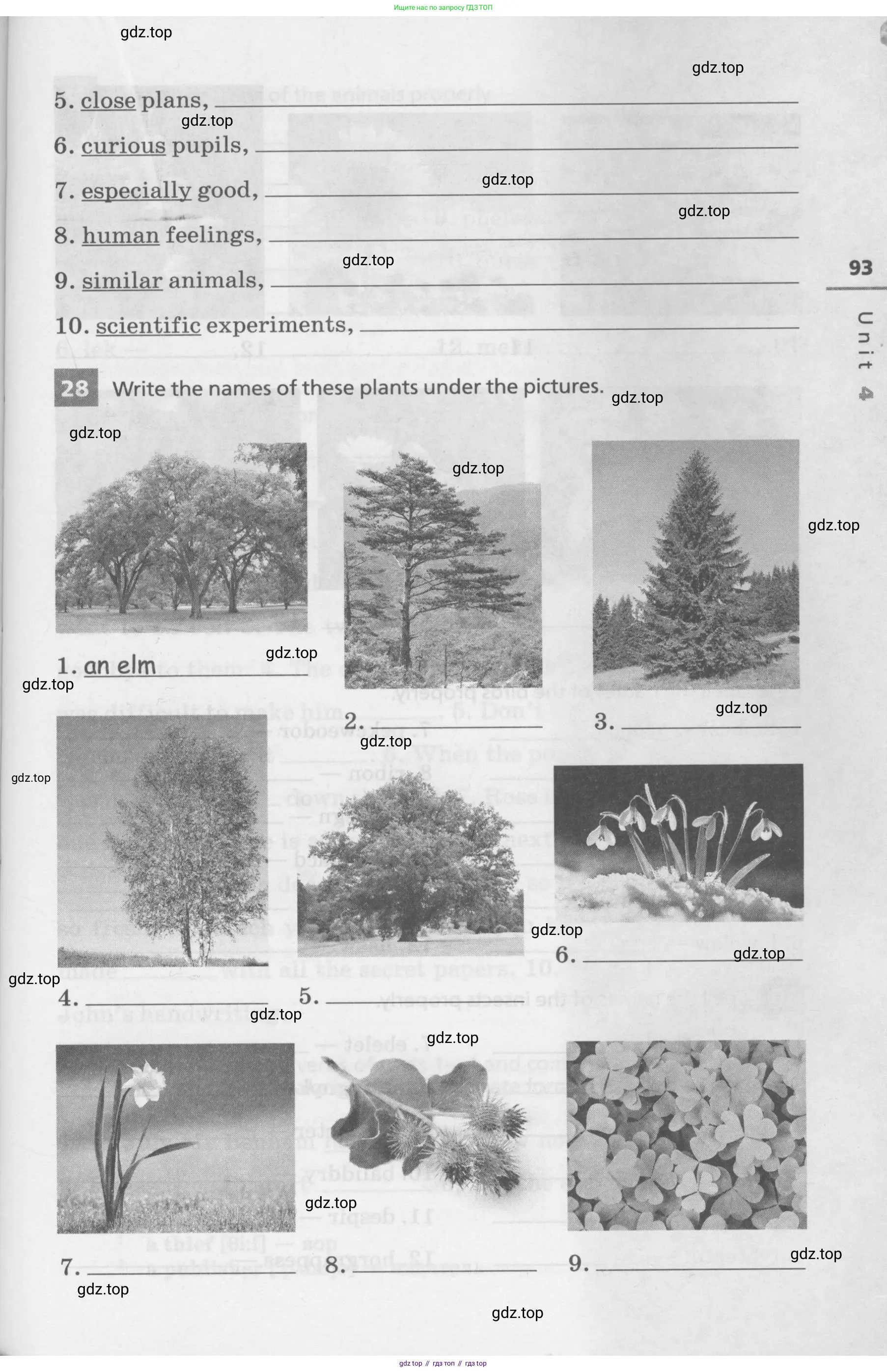 Английский язык (english), 7 класс Лексико-грамматический практикум, авторы: Афанасьева Ольга Васильевна (Afanasyeva Olga), Михеева Ирина Владимировна (Mikheeva Irina), Баранова Ксения Михайловна (Baranova Ksenia), издательство Просвещение, Москва, 2016, белого цвета, страница 93