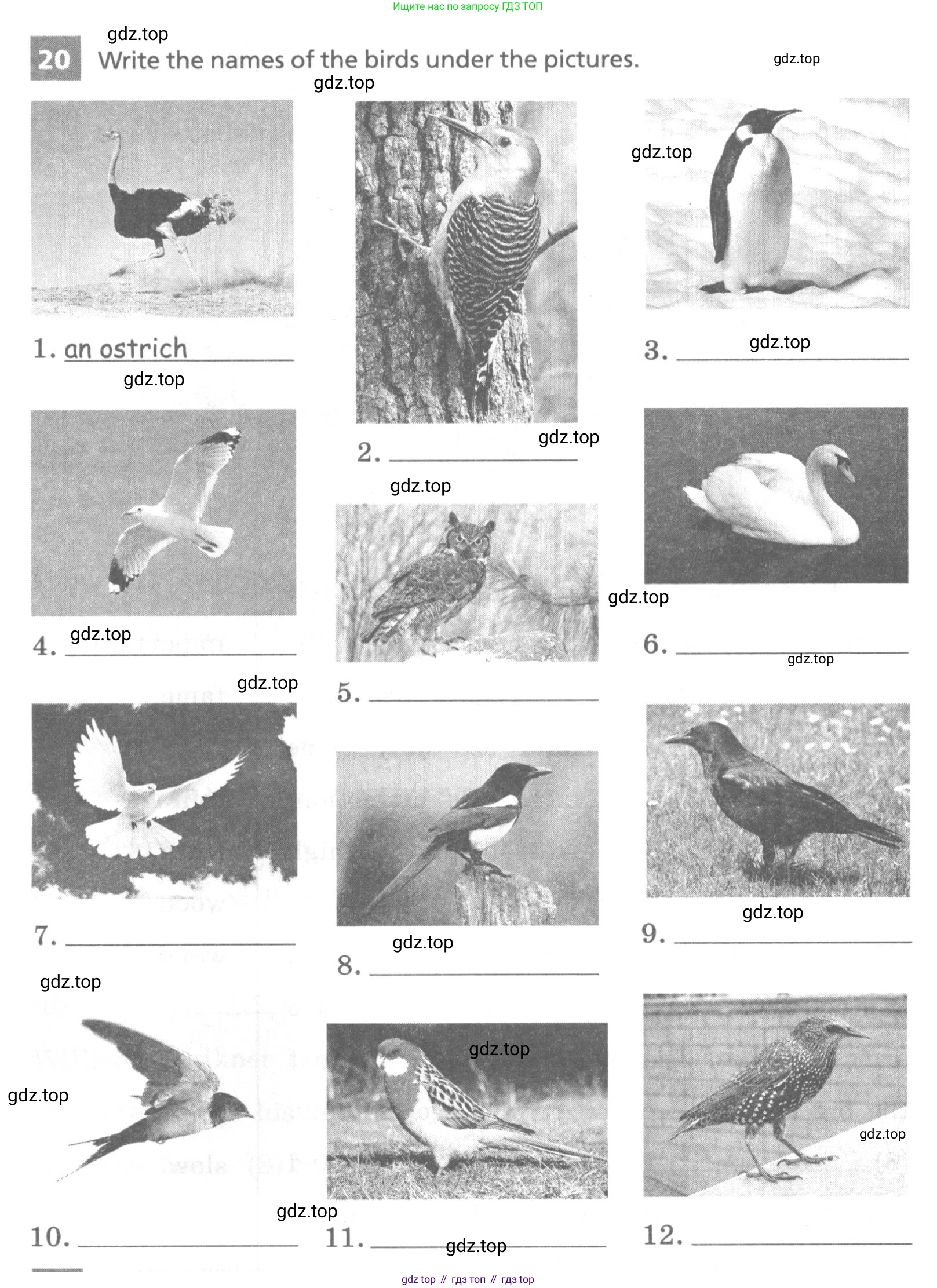 Английский язык (english), 7 класс Лексико-грамматический практикум, авторы: Афанасьева Ольга Васильевна (Afanasyeva Olga), Михеева Ирина Владимировна (Mikheeva Irina), Баранова Ксения Михайловна (Baranova Ksenia), издательство Просвещение, Москва, 2016, белого цвета, страница 88, номер 20, Условие