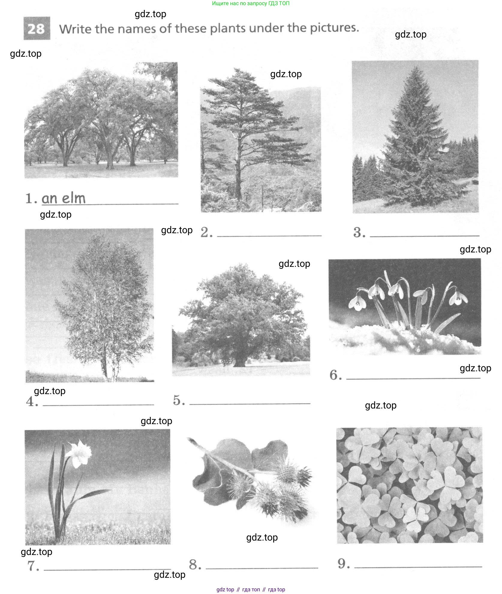 Английский язык (english), 7 класс Лексико-грамматический практикум, авторы: Афанасьева Ольга Васильевна (Afanasyeva Olga), Михеева Ирина Владимировна (Mikheeva Irina), Баранова Ксения Михайловна (Baranova Ksenia), издательство Просвещение, Москва, 2016, белого цвета, страница 93, номер 28, Условие