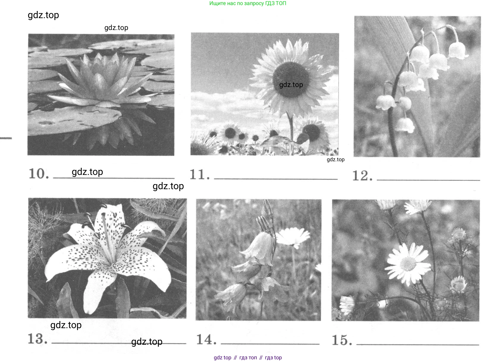 Английский язык (english), 7 класс Лексико-грамматический практикум, авторы: Афанасьева Ольга Васильевна (Afanasyeva Olga), Михеева Ирина Владимировна (Mikheeva Irina), Баранова Ксения Михайловна (Baranova Ksenia), издательство Просвещение, Москва, 2016, белого цвета, страница 93, номер 28, Условие (продолжение 2)