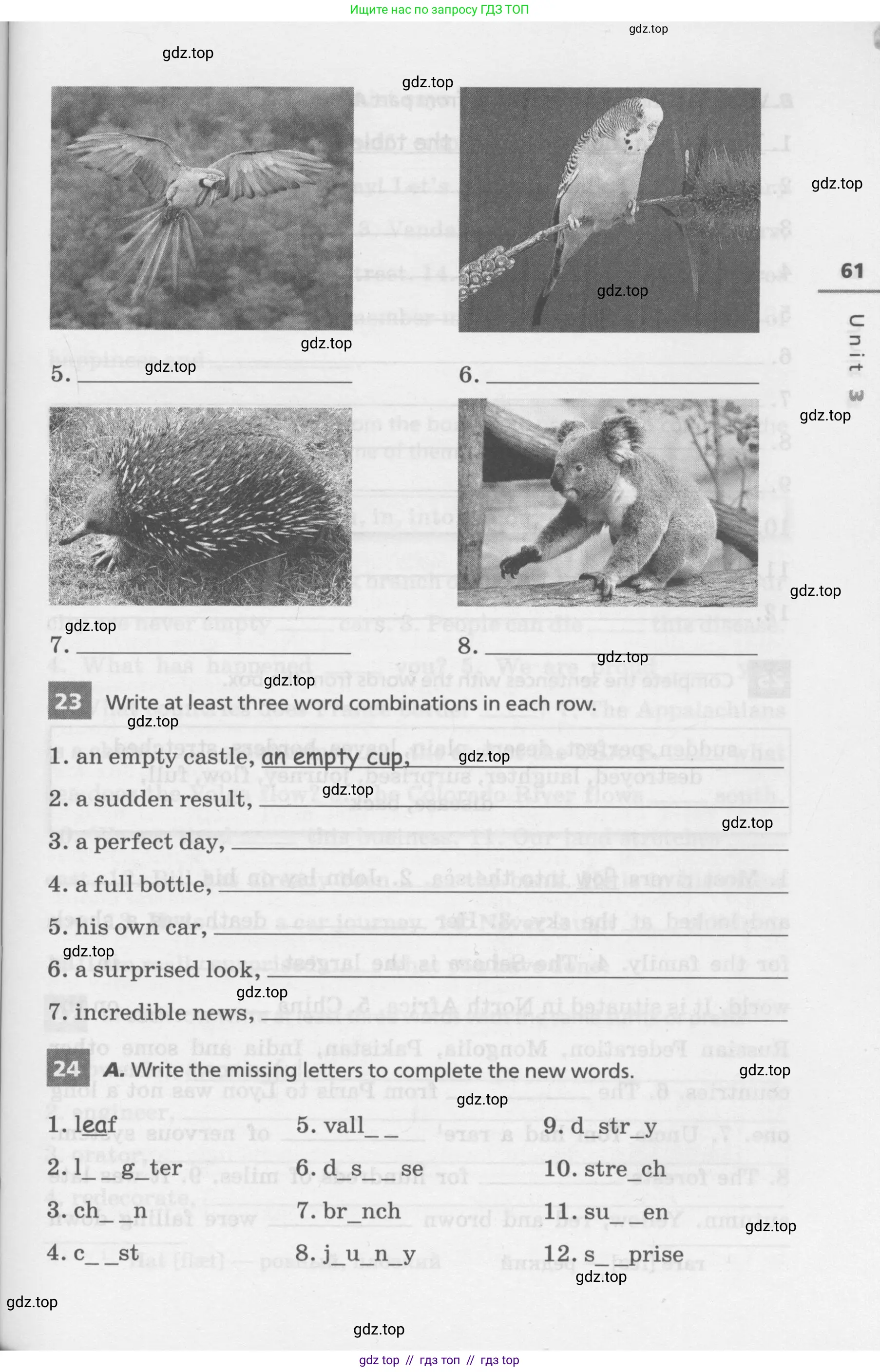 Английский язык (english), 7 класс Лексико-грамматический практикум, авторы: Афанасьева Ольга Васильевна (Afanasyeva Olga), Михеева Ирина Владимировна (Mikheeva Irina), Баранова Ксения Михайловна (Baranova Ksenia), издательство Просвещение, Москва, 2016, белого цвета, страница 61