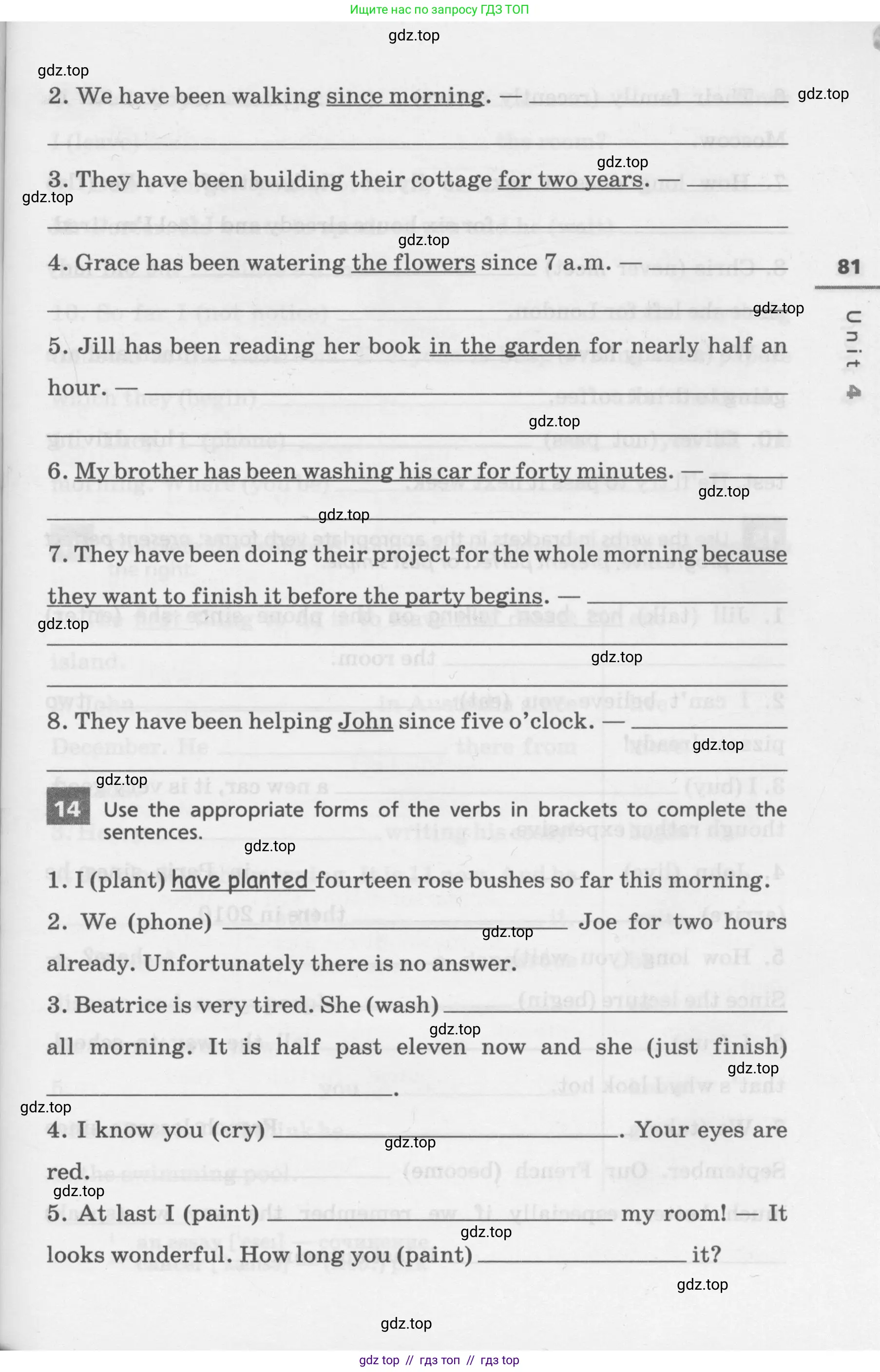 Английский язык (english), 7 класс Лексико-грамматический практикум, авторы: Афанасьева Ольга Васильевна (Afanasyeva Olga), Михеева Ирина Владимировна (Mikheeva Irina), Баранова Ксения Михайловна (Baranova Ksenia), издательство Просвещение, Москва, 2016, белого цвета, страница 81