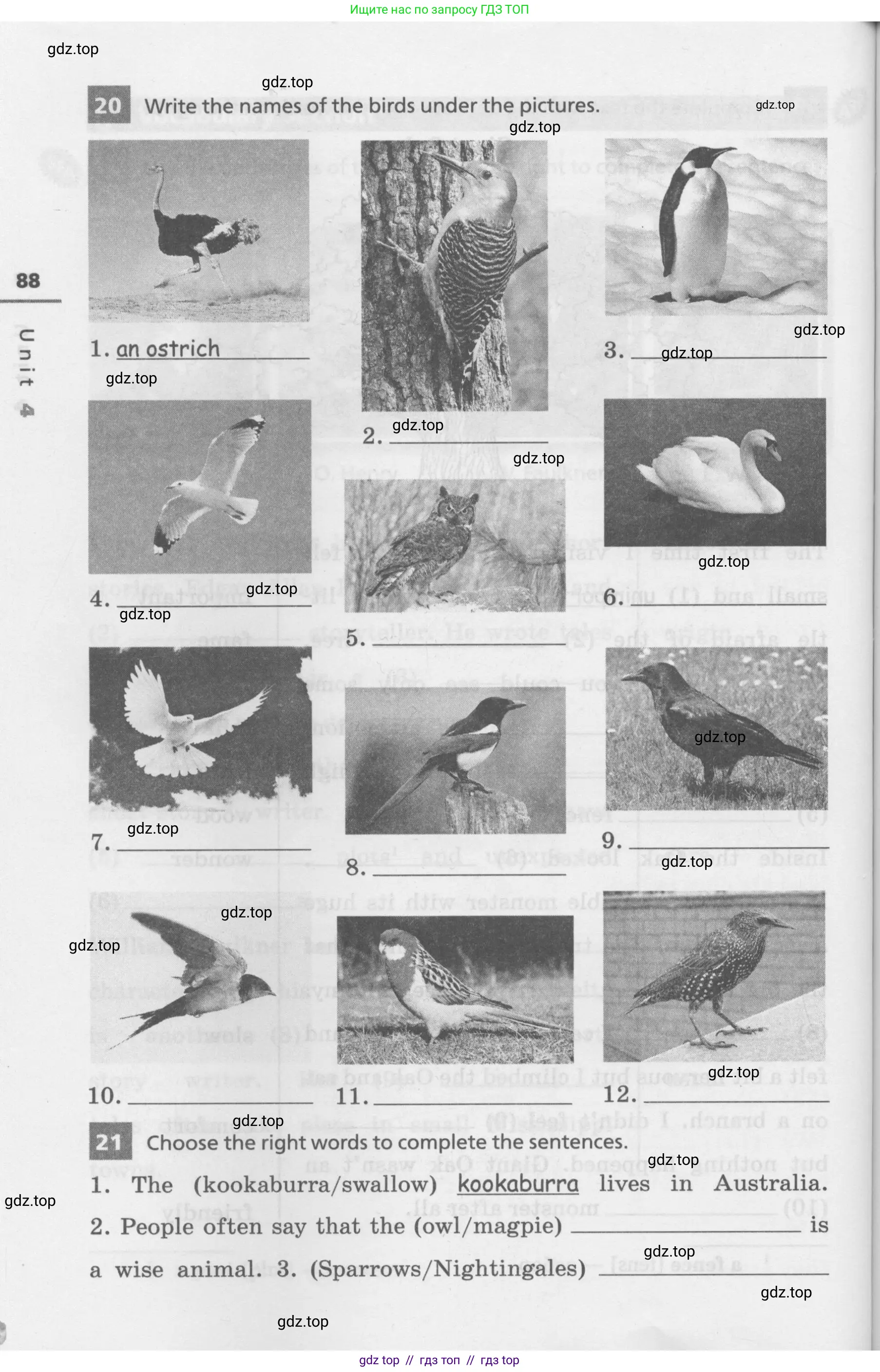 Английский язык (english), 7 класс Лексико-грамматический практикум, авторы: Афанасьева Ольга Васильевна (Afanasyeva Olga), Михеева Ирина Владимировна (Mikheeva Irina), Баранова Ксения Михайловна (Baranova Ksenia), издательство Просвещение, Москва, 2016, белого цвета, страница 88