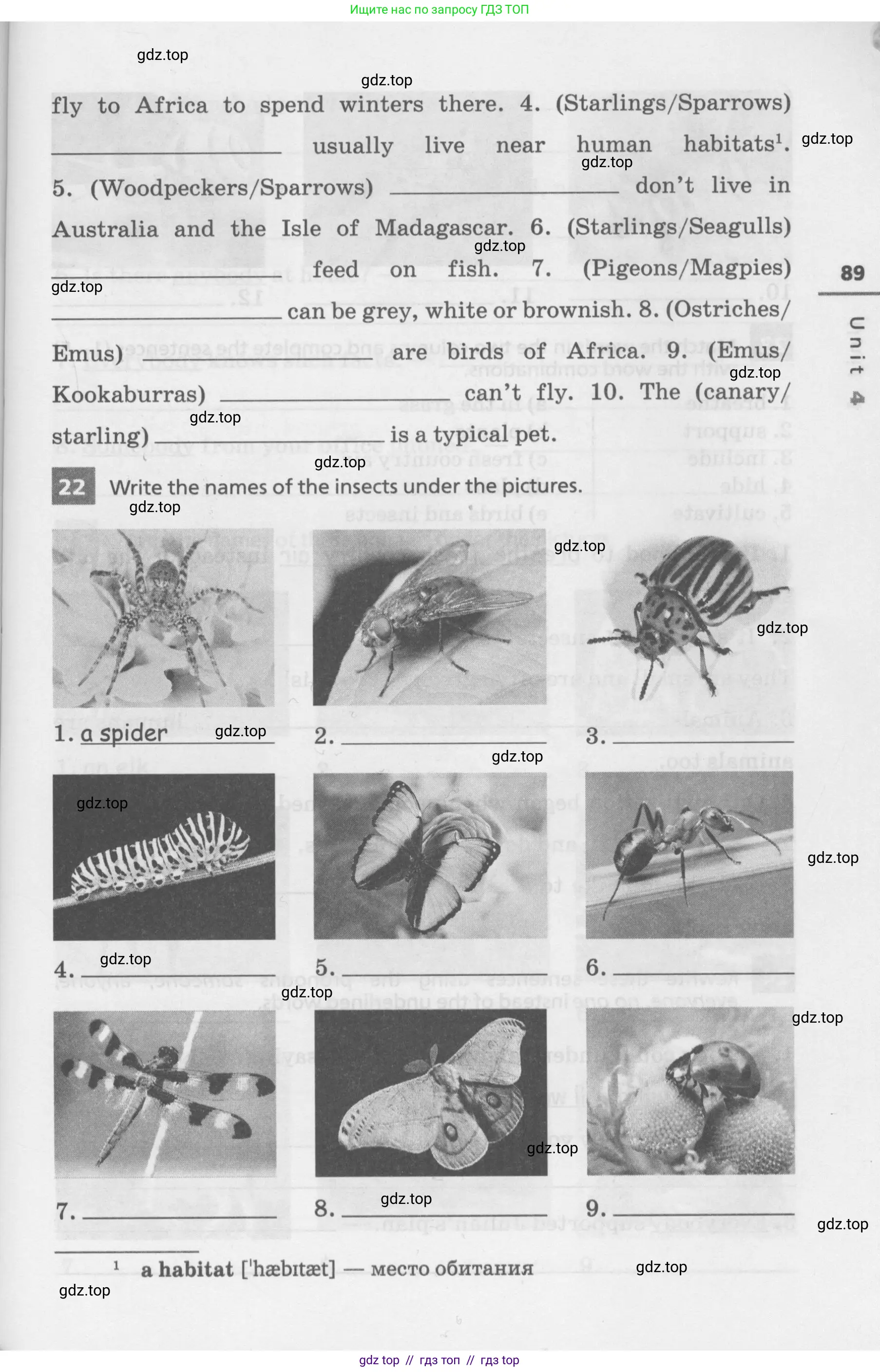 Английский язык (english), 7 класс Лексико-грамматический практикум, авторы: Афанасьева Ольга Васильевна (Afanasyeva Olga), Михеева Ирина Владимировна (Mikheeva Irina), Баранова Ксения Михайловна (Baranova Ksenia), издательство Просвещение, Москва, 2016, белого цвета, страница 89