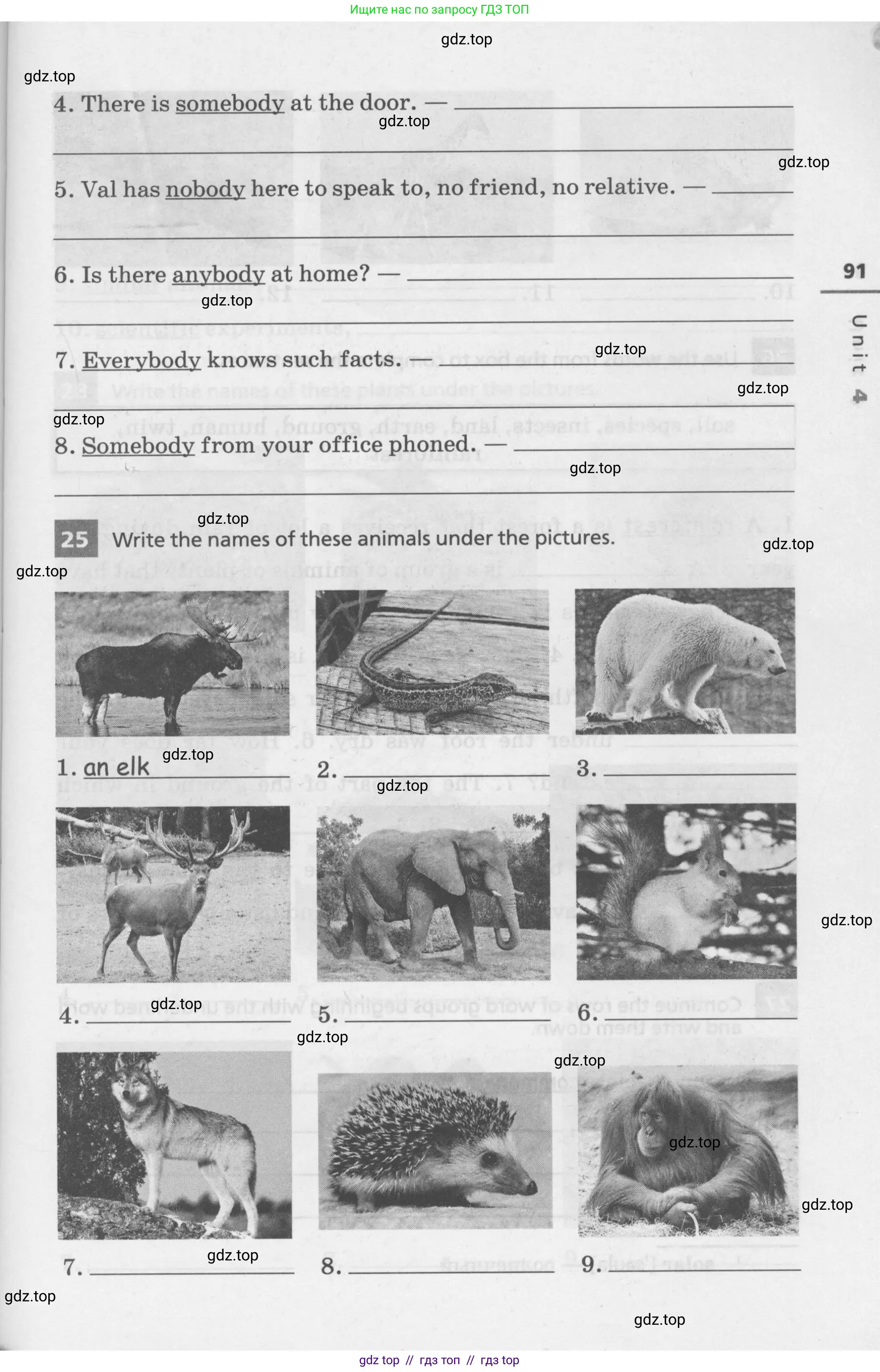 Английский язык (english), 7 класс Лексико-грамматический практикум, авторы: Афанасьева Ольга Васильевна (Afanasyeva Olga), Михеева Ирина Владимировна (Mikheeva Irina), Баранова Ксения Михайловна (Baranova Ksenia), издательство Просвещение, Москва, 2016, белого цвета, страница 91