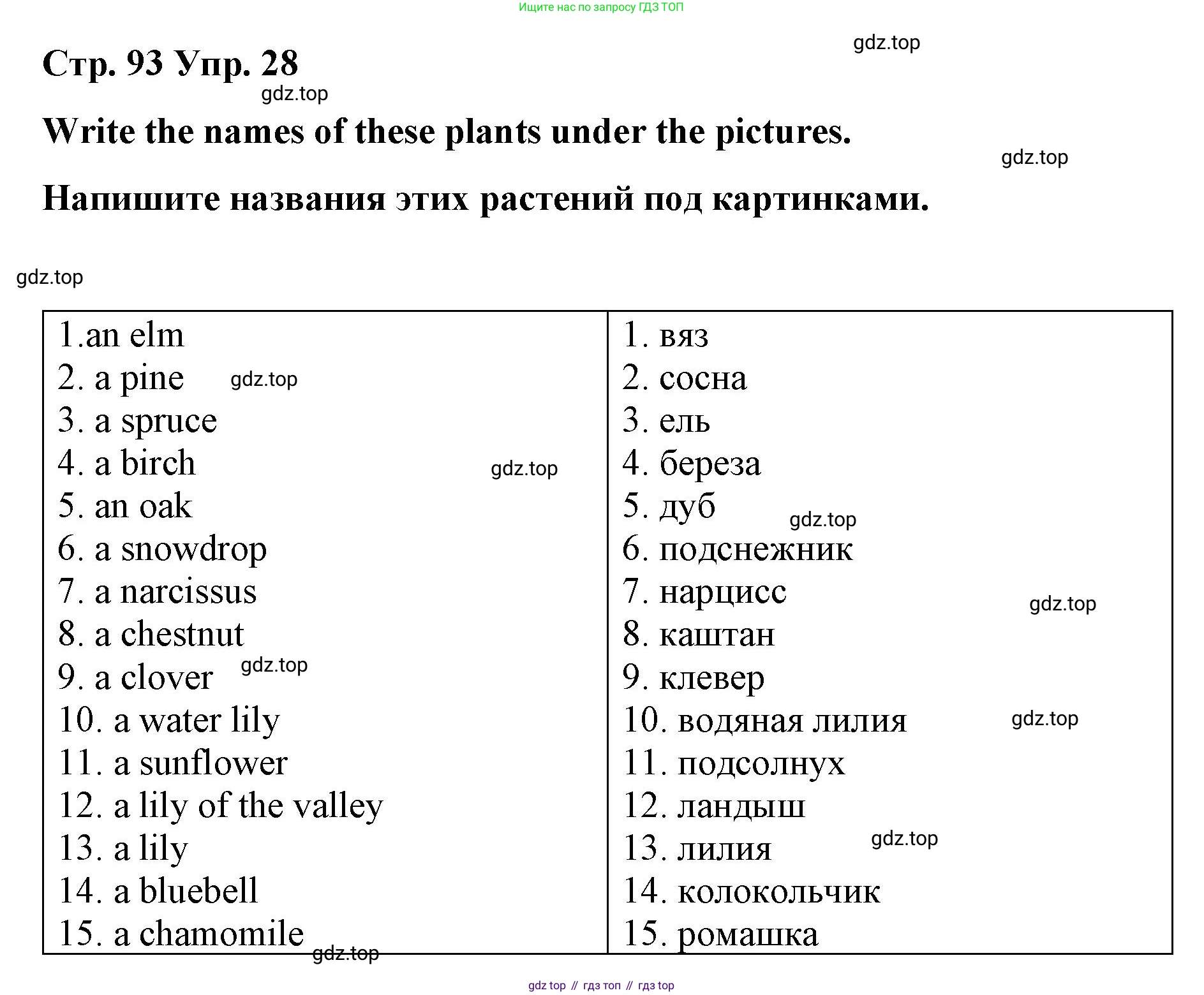 Английский язык (english), 7 класс Лексико-грамматический практикум, авторы: Афанасьева Ольга Васильевна (Afanasyeva Olga), Михеева Ирина Владимировна (Mikheeva Irina), Баранова Ксения Михайловна (Baranova Ksenia), издательство Просвещение, Москва, 2016, белого цвета, страница 93, номер 28, Решение
