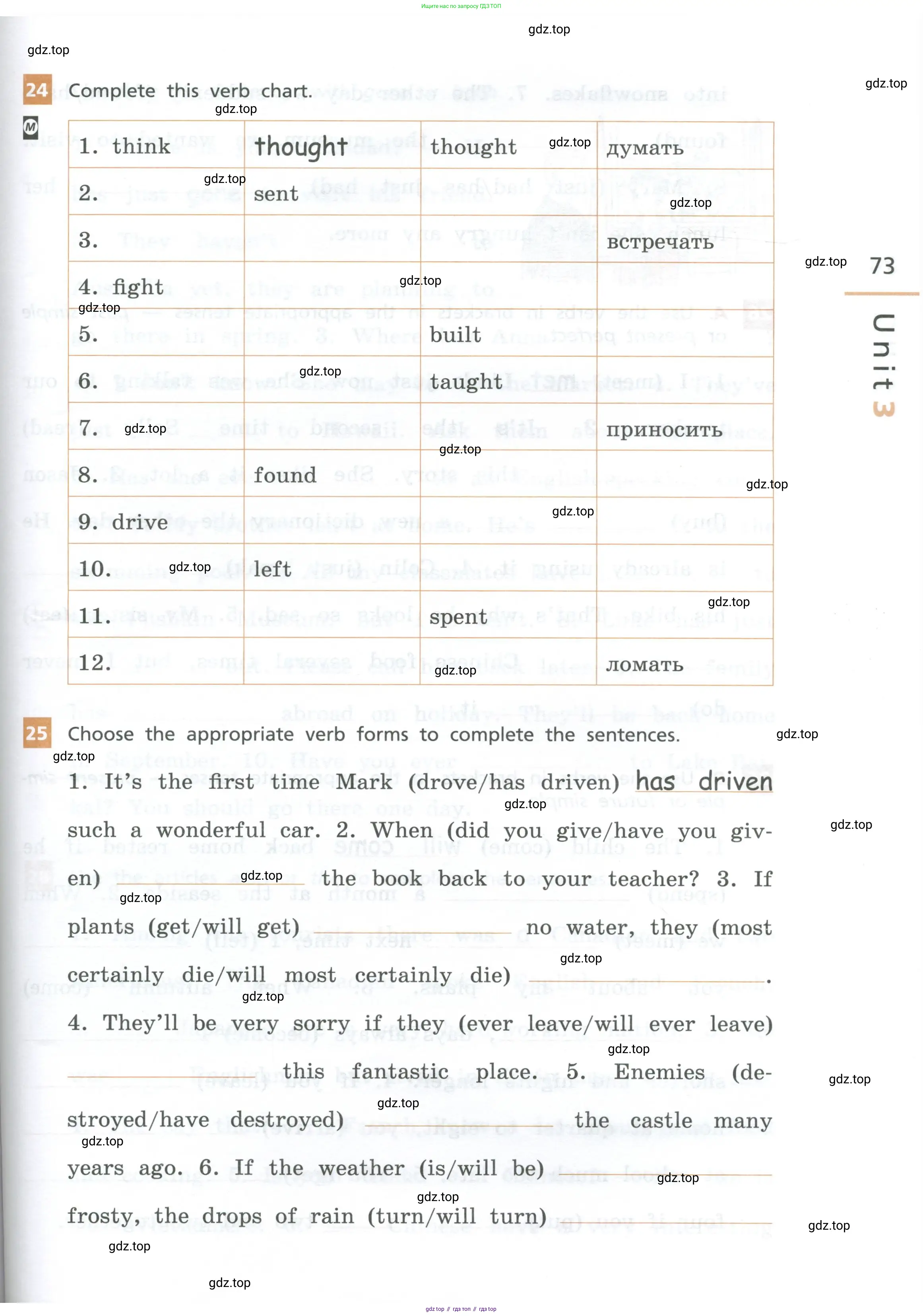 Английский язык (english), 7 класс рабочая тетрадь, авторы: Афанасьева Ольга Васильевна (Afanasyeva Olga), Михеева Ирина Владимировна (Mikheeva Irina), Баранова Ксения Михайловна (Baranova Ksenia), издательство Просвещение, Москва, 2024, белого цвета, страница 73