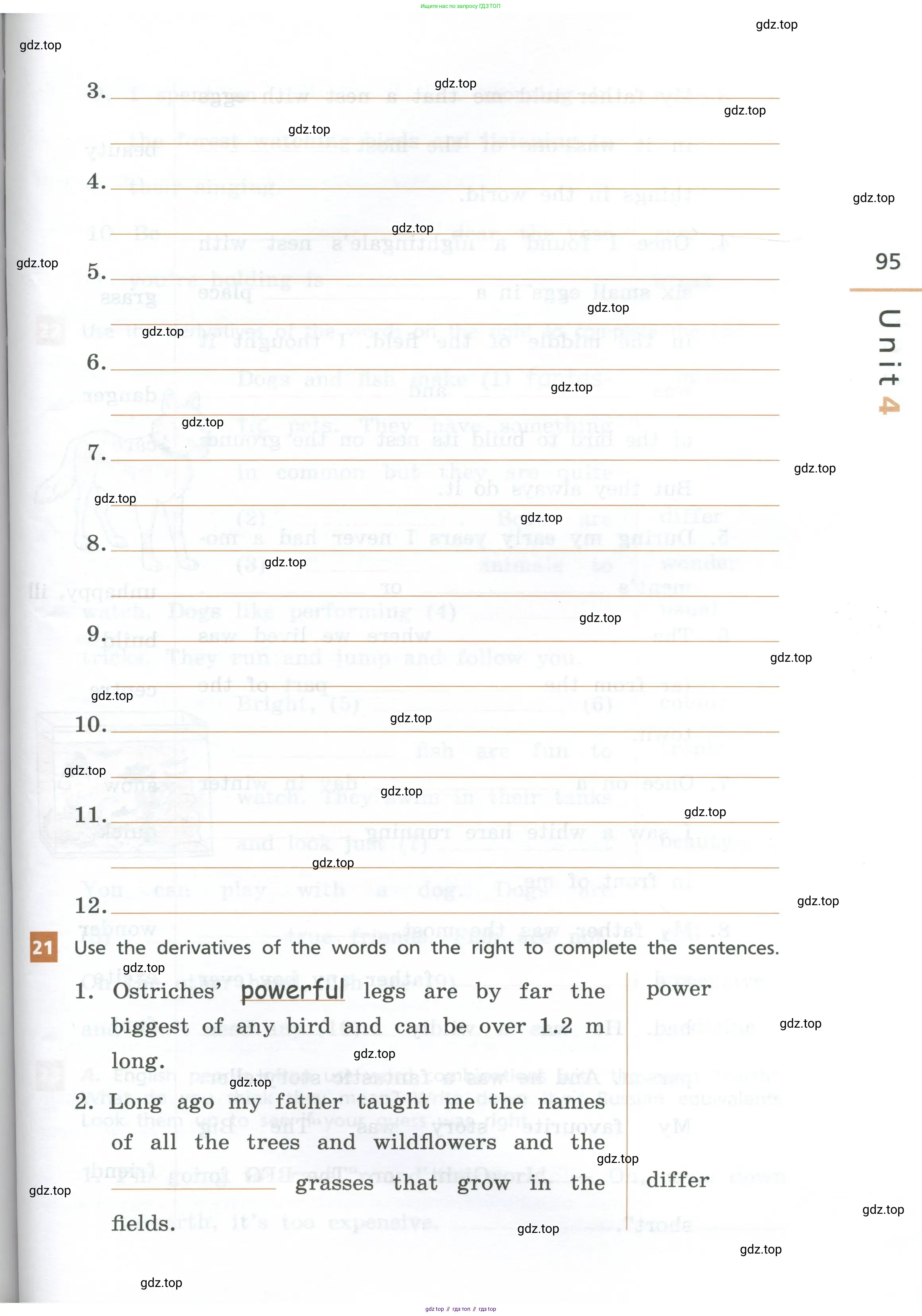 Английский язык (english), 7 класс рабочая тетрадь, авторы: Афанасьева Ольга Васильевна (Afanasyeva Olga), Михеева Ирина Владимировна (Mikheeva Irina), Баранова Ксения Михайловна (Baranova Ksenia), издательство Просвещение, Москва, 2024, белого цвета, страница 95