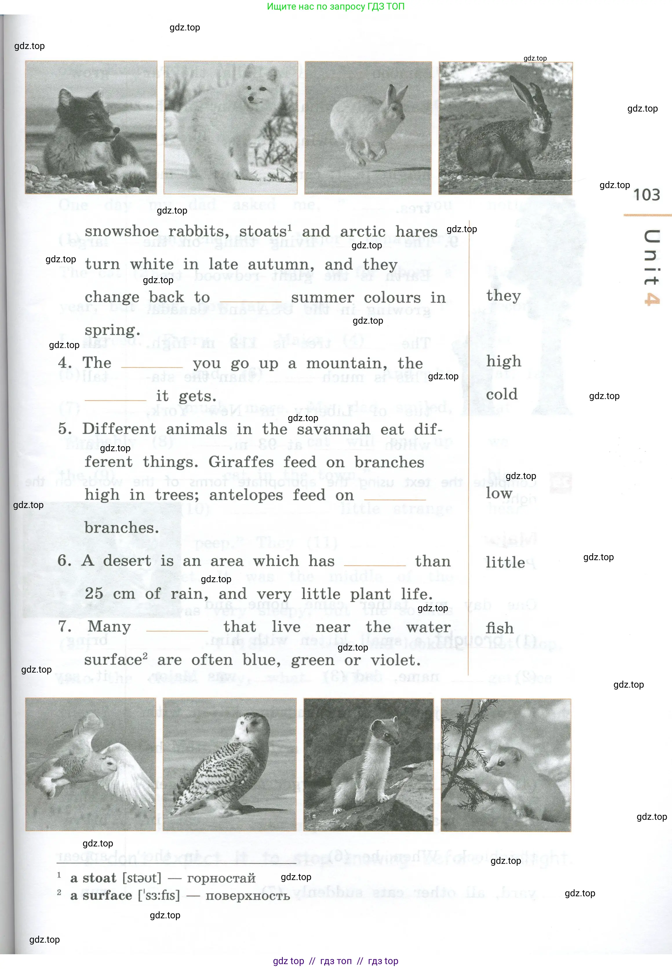 Английский язык (english), 7 класс рабочая тетрадь, авторы: Афанасьева Ольга Васильевна (Afanasyeva Olga), Михеева Ирина Владимировна (Mikheeva Irina), Баранова Ксения Михайловна (Baranova Ksenia), издательство Просвещение, Москва, 2024, белого цвета, страница 103