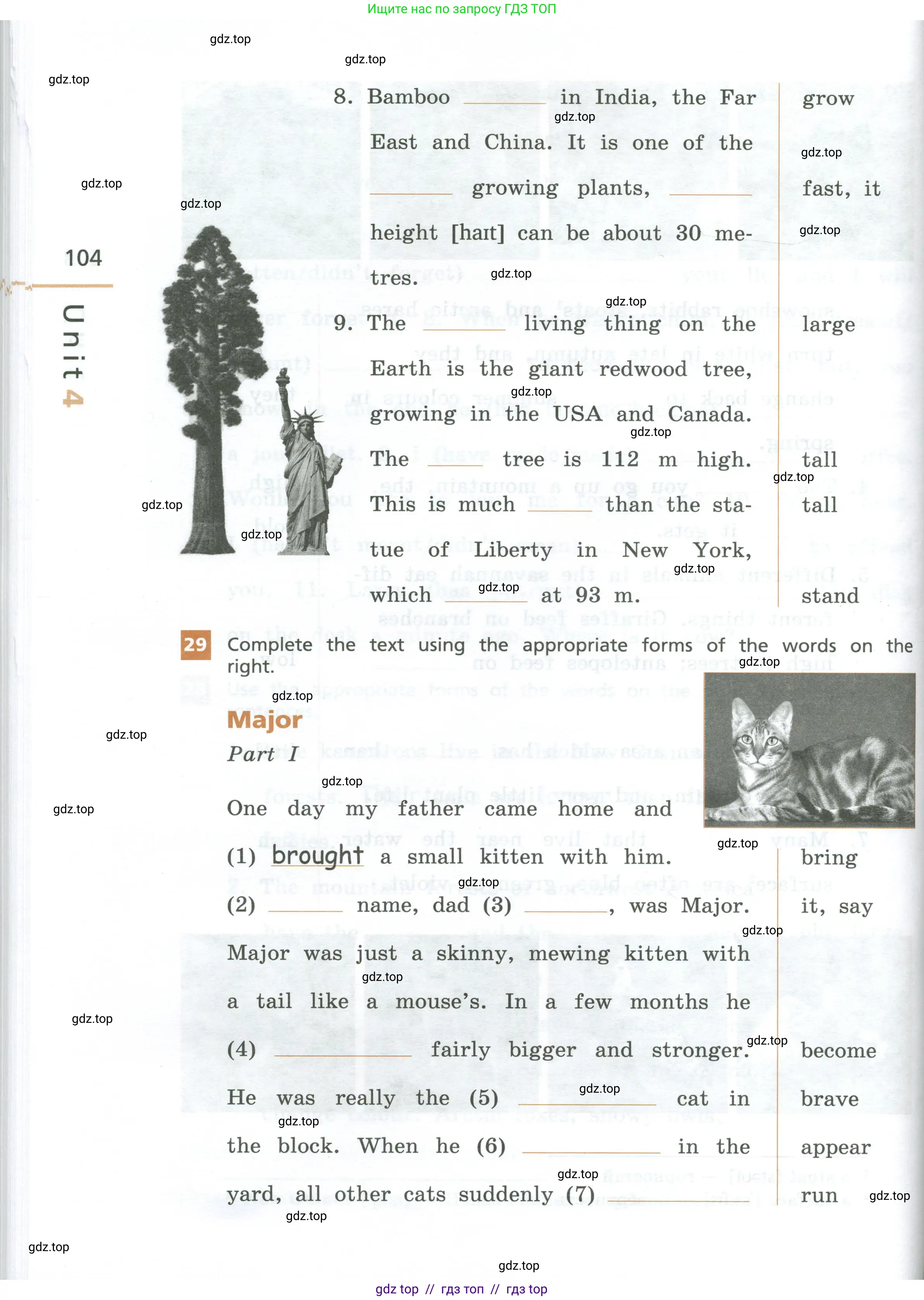 Английский язык (english), 7 класс рабочая тетрадь, авторы: Афанасьева Ольга Васильевна (Afanasyeva Olga), Михеева Ирина Владимировна (Mikheeva Irina), Баранова Ксения Михайловна (Baranova Ksenia), издательство Просвещение, Москва, 2024, белого цвета, страница 104