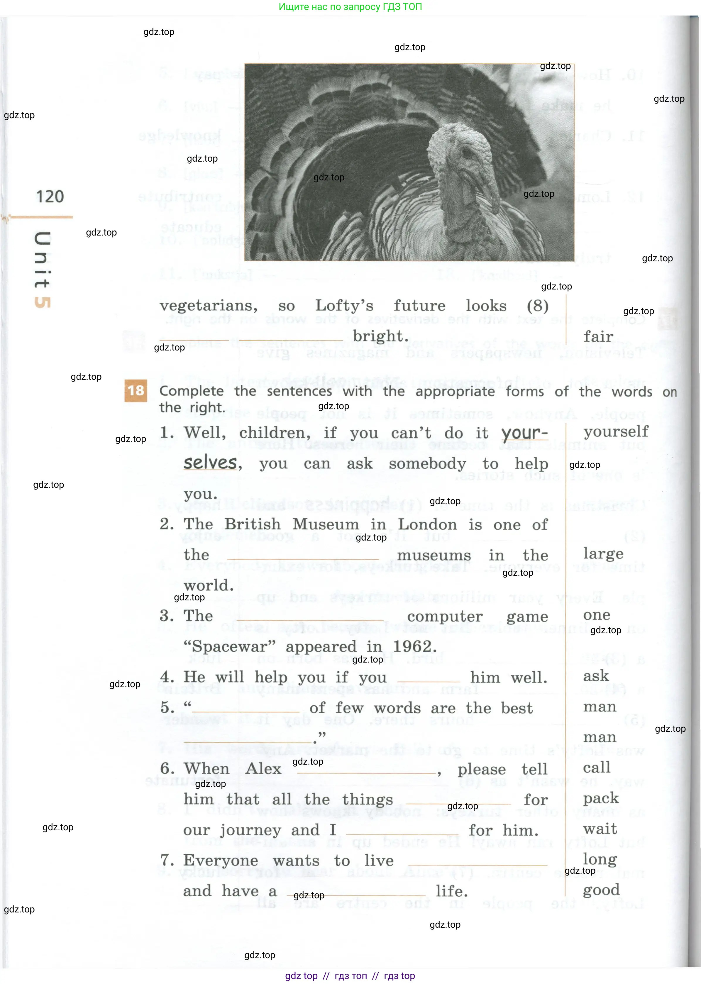 Английский язык (english), 7 класс рабочая тетрадь, авторы: Афанасьева Ольга Васильевна (Afanasyeva Olga), Михеева Ирина Владимировна (Mikheeva Irina), Баранова Ксения Михайловна (Baranova Ksenia), издательство Просвещение, Москва, 2024, белого цвета, страница 120