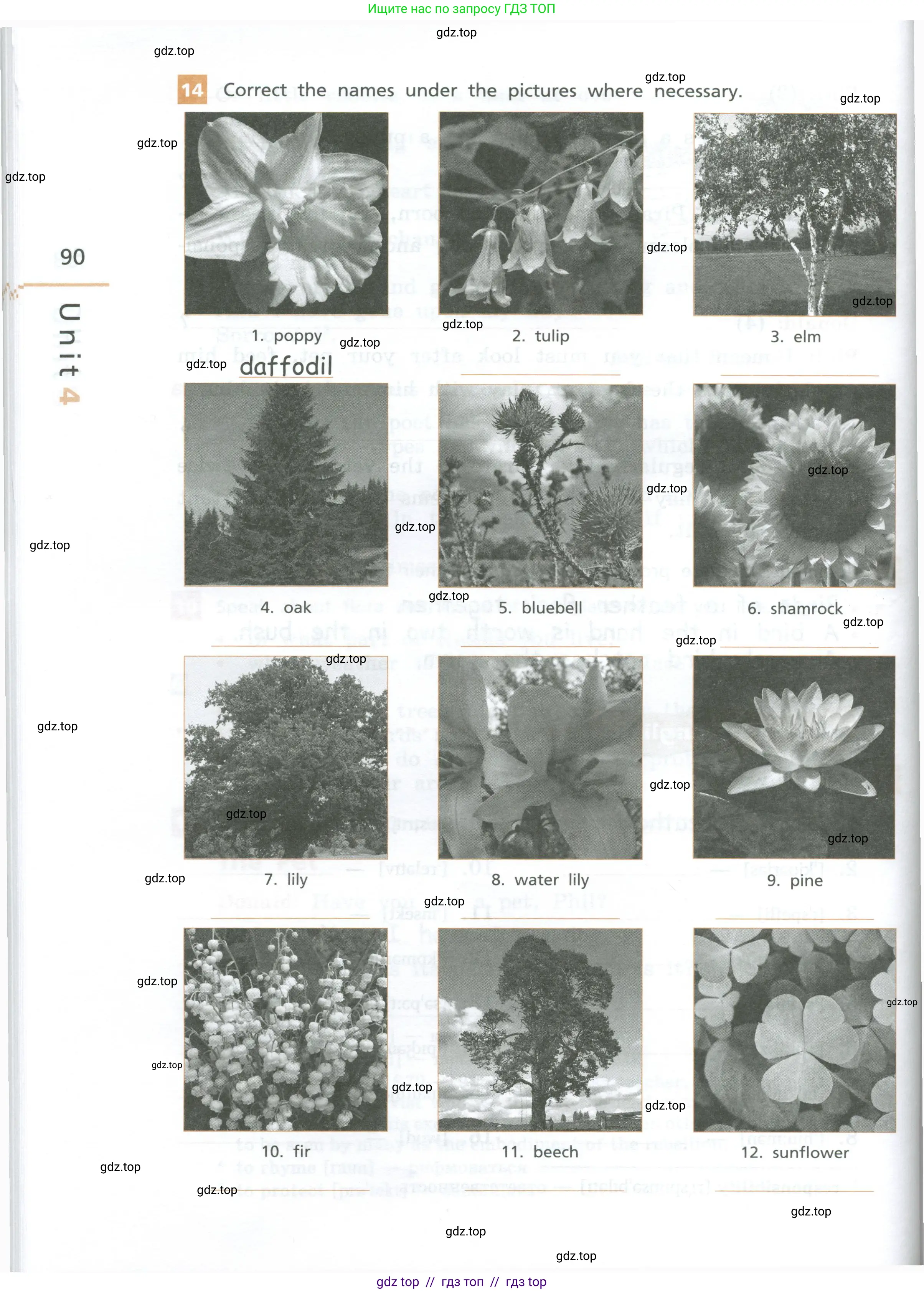 Английский язык (english), 7 класс рабочая тетрадь, авторы: Афанасьева Ольга Васильевна (Afanasyeva Olga), Михеева Ирина Владимировна (Mikheeva Irina), Баранова Ксения Михайловна (Baranova Ksenia), издательство Просвещение, Москва, 2024, белого цвета, страница 90