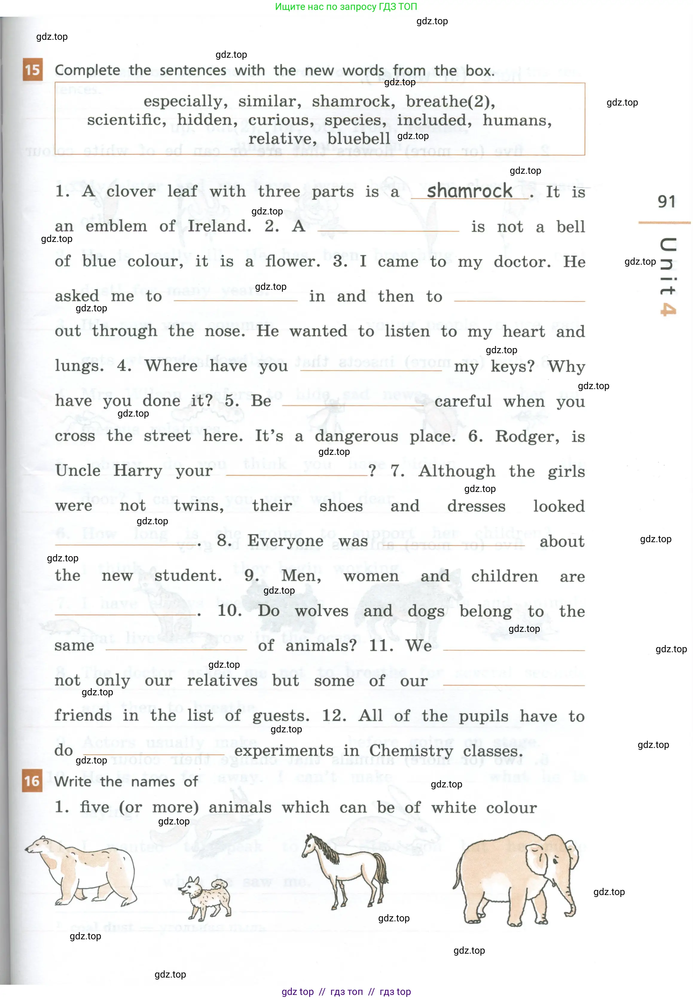 Английский язык (english), 7 класс рабочая тетрадь, авторы: Афанасьева Ольга Васильевна (Afanasyeva Olga), Михеева Ирина Владимировна (Mikheeva Irina), Баранова Ксения Михайловна (Baranova Ksenia), издательство Просвещение, Москва, 2024, белого цвета, страница 91