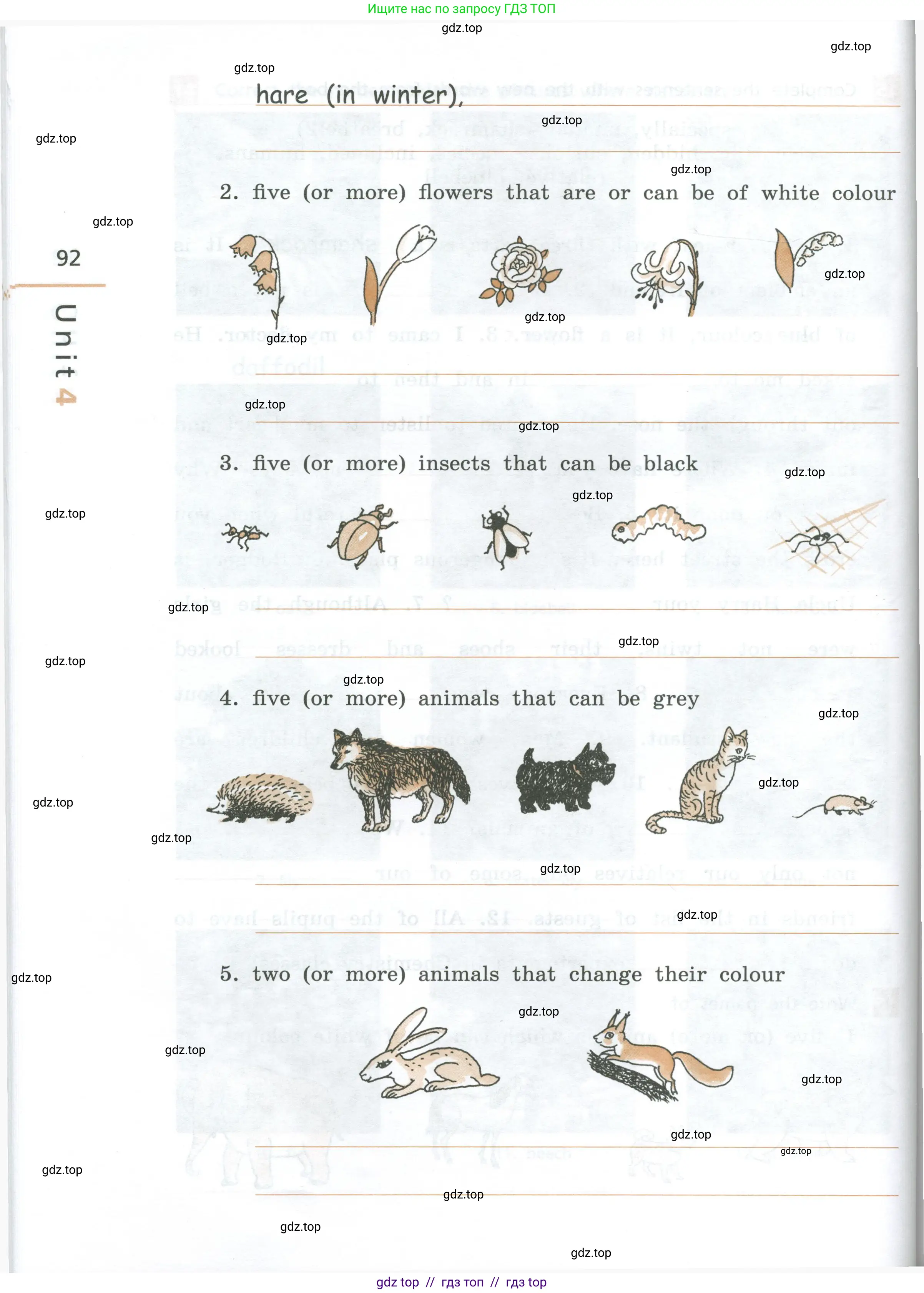 Английский язык (english), 7 класс рабочая тетрадь, авторы: Афанасьева Ольга Васильевна (Afanasyeva Olga), Михеева Ирина Владимировна (Mikheeva Irina), Баранова Ксения Михайловна (Baranova Ksenia), издательство Просвещение, Москва, 2024, белого цвета, страница 92