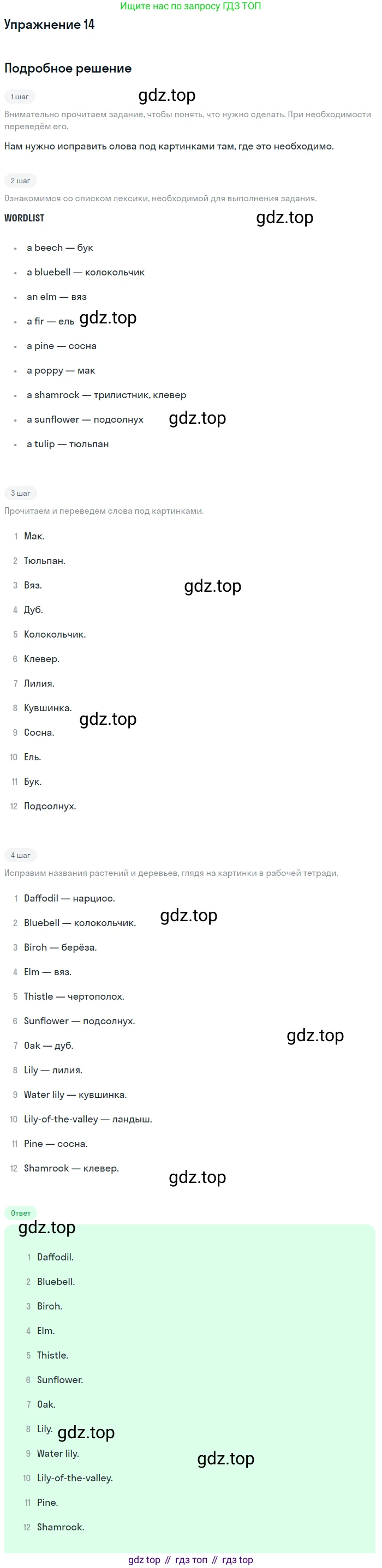 Английский язык (english), 7 класс рабочая тетрадь, авторы: Афанасьева Ольга Васильевна (Afanasyeva Olga), Михеева Ирина Владимировна (Mikheeva Irina), Баранова Ксения Михайловна (Baranova Ksenia), издательство Просвещение, Москва, 2024, белого цвета, страница 90, номер 14, Решение 2016-2023