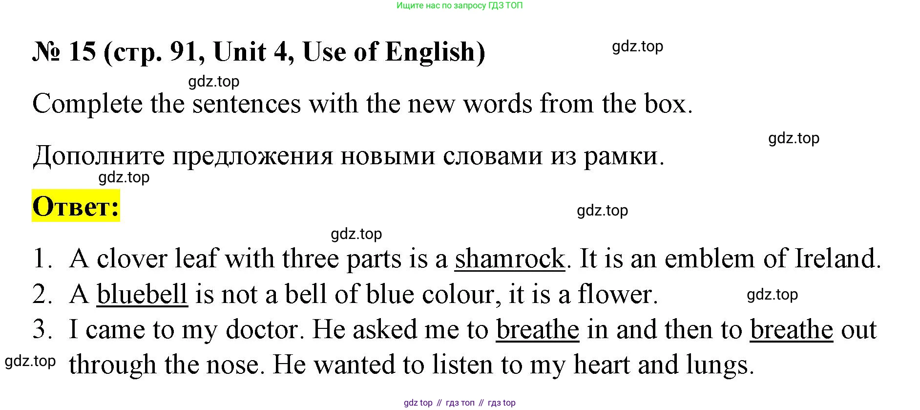 Английский язык (english), 7 класс рабочая тетрадь, авторы: Афанасьева Ольга Васильевна (Afanasyeva Olga), Михеева Ирина Владимировна (Mikheeva Irina), Баранова Ксения Михайловна (Baranova Ksenia), издательство Просвещение, Москва, 2024, белого цвета, страница 91, номер 15, Решение 2024