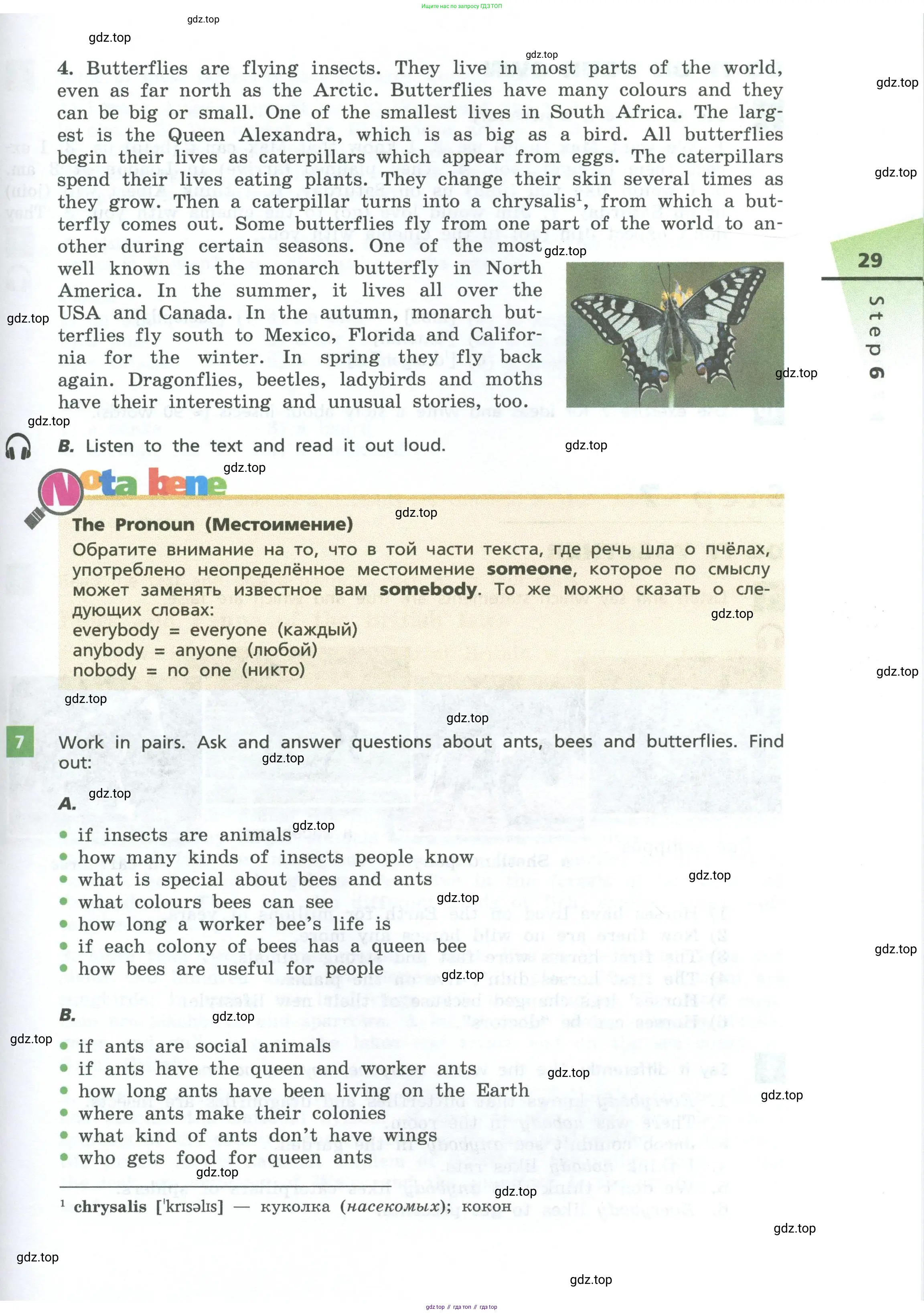 Английский язык (english), 7 класс Учебник, авторы: Афанасьева Ольга Васильевна (Afanasyeva Olga), Михеева Ирина Владимировна (Mikheeva Irina), Баранова Ксения Михайловна (Baranova Ksenia), издательство Просвещение, Москва, 2024, Часть 1, страница 29