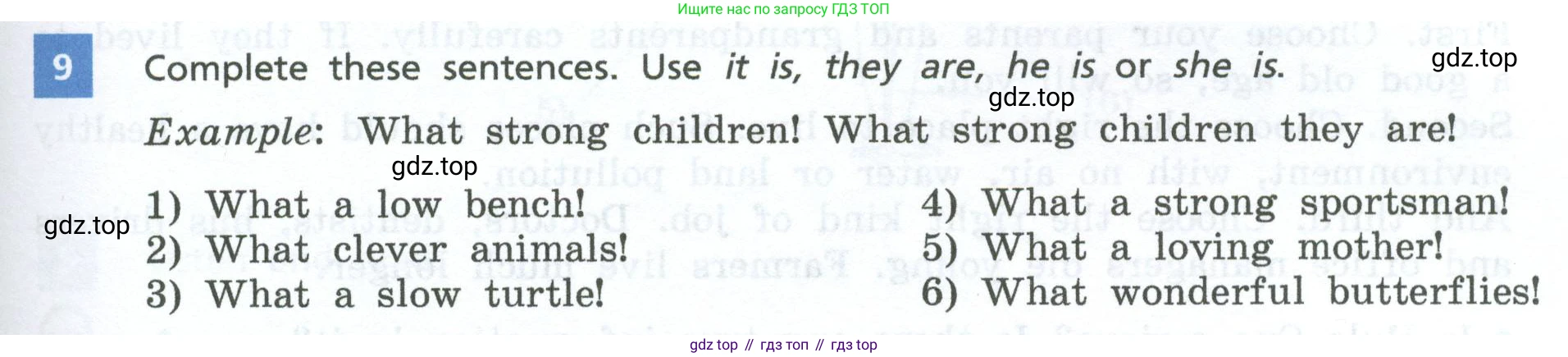 Английский язык (english), 7 класс Учебник, авторы: Афанасьева Ольга Васильевна (Afanasyeva Olga), Михеева Ирина Владимировна (Mikheeva Irina), Баранова Ксения Михайловна (Baranova Ksenia), издательство Просвещение, Москва, 2024, Часть 2, страница 101, номер 9, Условие 2024