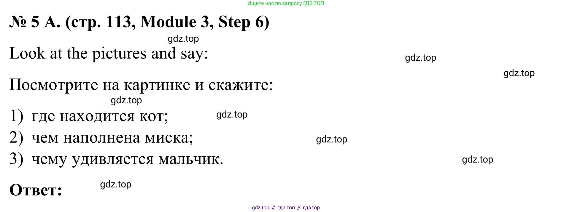 Английский язык (english), 7 класс Учебник, авторы: Афанасьева Ольга Васильевна (Afanasyeva Olga), Михеева Ирина Владимировна (Mikheeva Irina), Баранова Ксения Михайловна (Baranova Ksenia), издательство Просвещение, Москва, 2024, Часть 1, страница 113, номер 5, Решение 2024