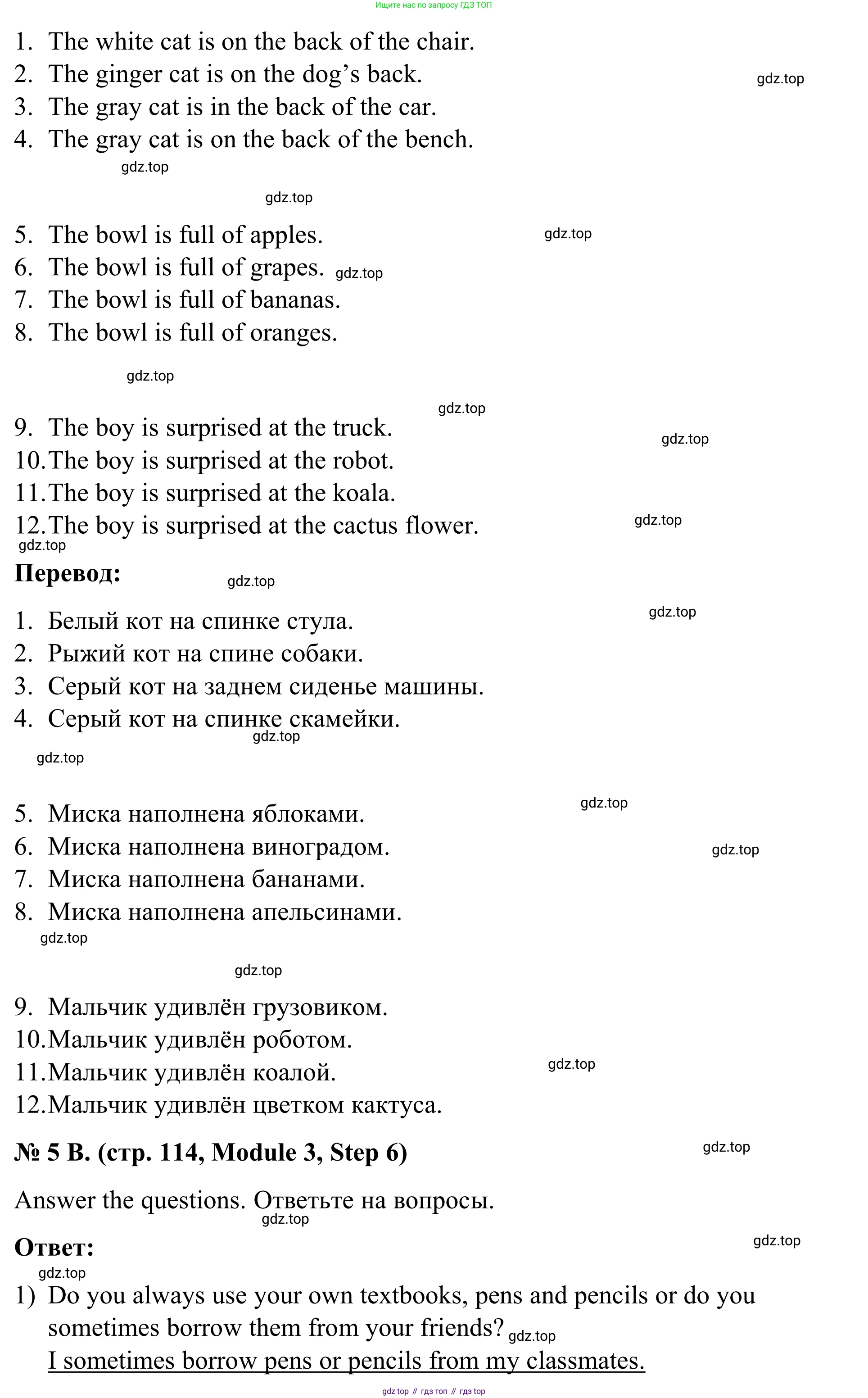 Английский язык (english), 7 класс Учебник, авторы: Афанасьева Ольга Васильевна (Afanasyeva Olga), Михеева Ирина Владимировна (Mikheeva Irina), Баранова Ксения Михайловна (Baranova Ksenia), издательство Просвещение, Москва, 2024, Часть 1, страница 113, номер 5, Решение 2024 (продолжение 2)