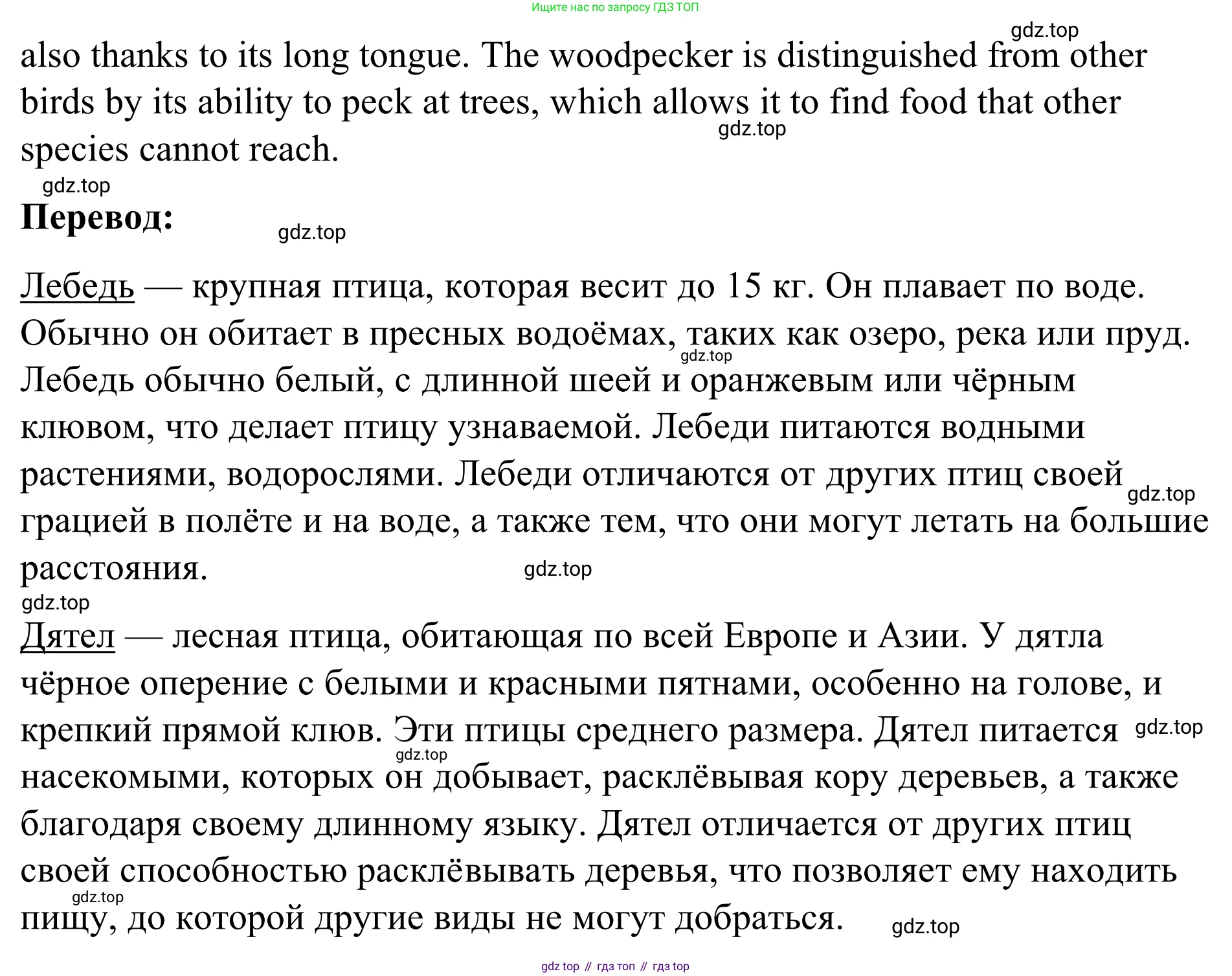 Английский язык (english), 7 класс Учебник, авторы: Афанасьева Ольга Васильевна (Afanasyeva Olga), Михеева Ирина Владимировна (Mikheeva Irina), Баранова Ксения Михайловна (Baranova Ksenia), издательство Просвещение, Москва, 2024, Часть 2, страница 8, номер 6, Решение 2024 (продолжение 3)