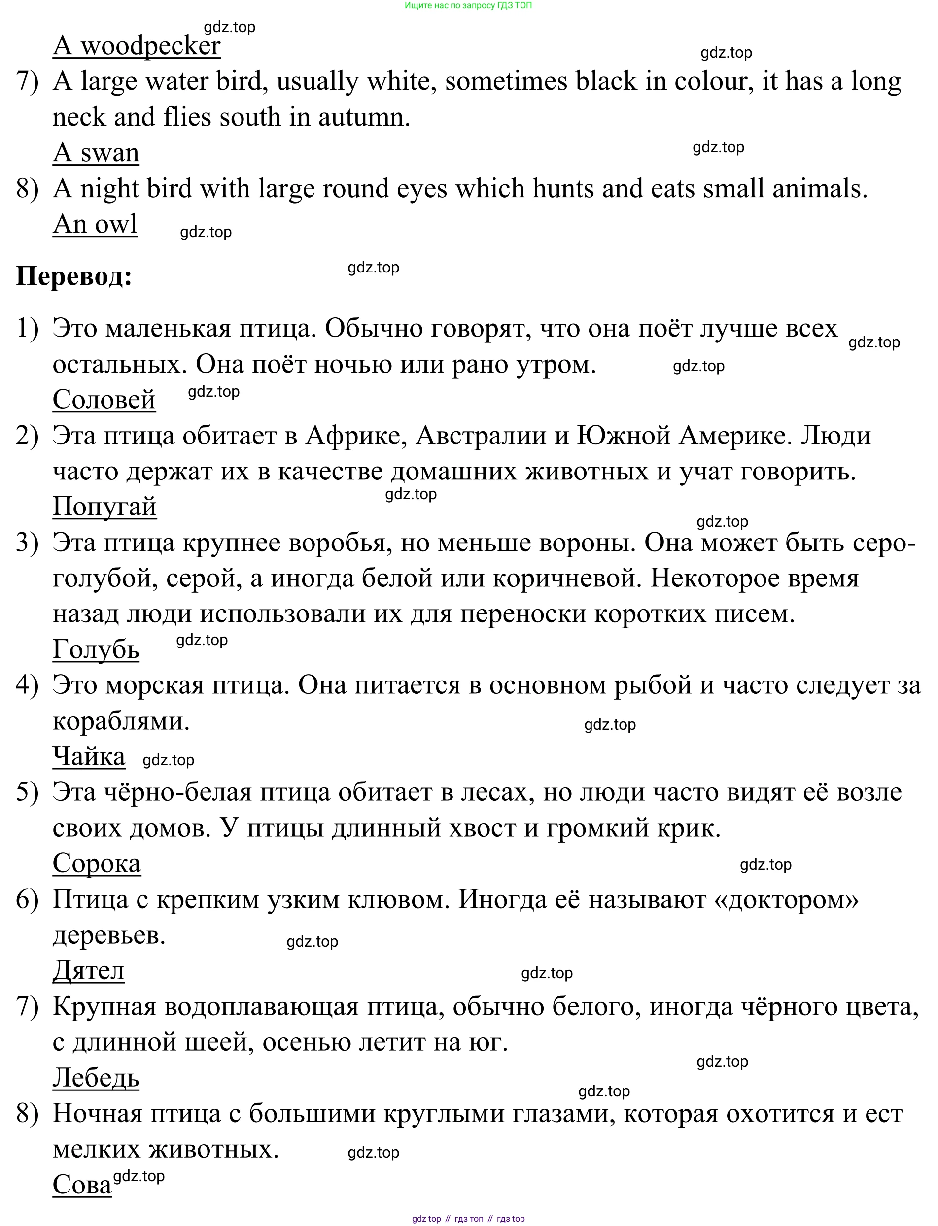 Английский язык (english), 7 класс Учебник, авторы: Афанасьева Ольга Васильевна (Afanasyeva Olga), Михеева Ирина Владимировна (Mikheeva Irina), Баранова Ксения Михайловна (Baranova Ksenia), издательство Просвещение, Москва, 2024, Часть 2, страница 8, номер 7, Решение 2024 (продолжение 2)