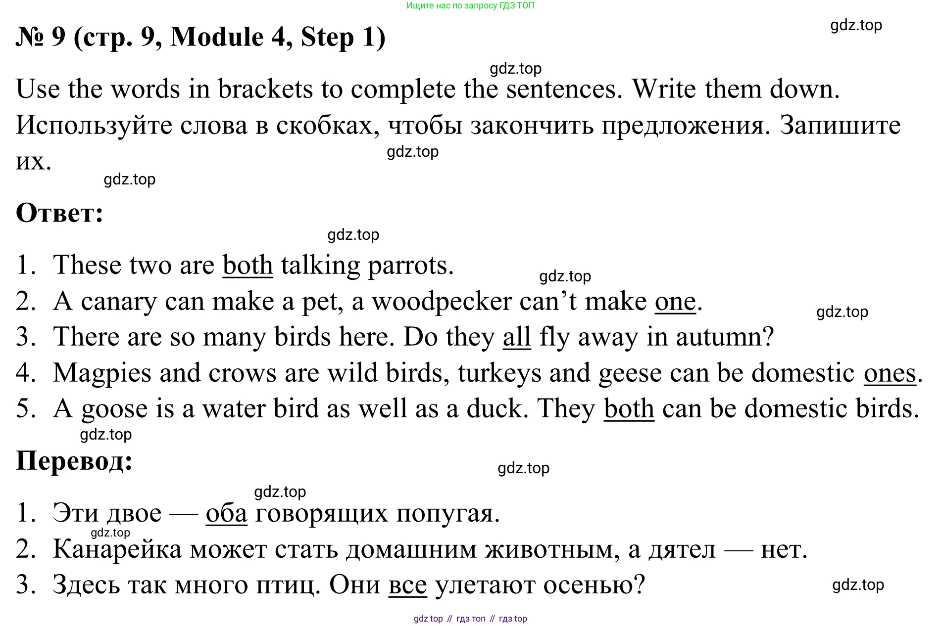 Английский язык (english), 7 класс Учебник, авторы: Афанасьева Ольга Васильевна (Afanasyeva Olga), Михеева Ирина Владимировна (Mikheeva Irina), Баранова Ксения Михайловна (Baranova Ksenia), издательство Просвещение, Москва, 2024, Часть 2, страница 9, номер 9, Решение 2024