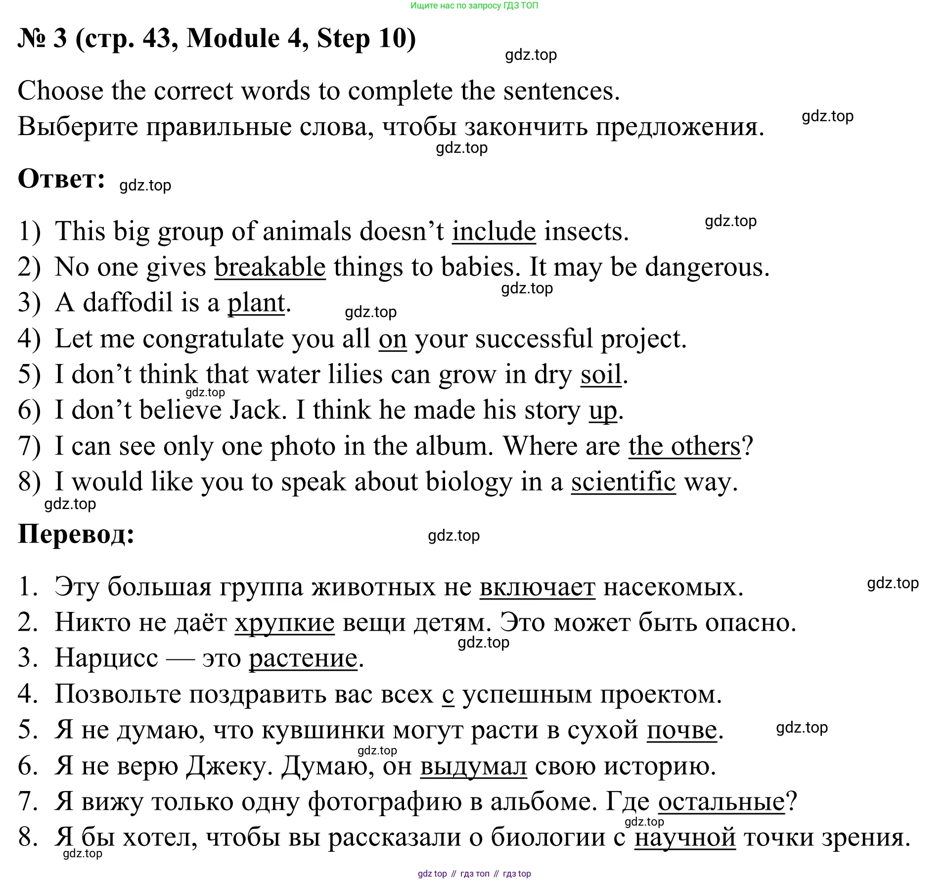Английский язык (english), 7 класс Учебник, авторы: Афанасьева Ольга Васильевна (Afanasyeva Olga), Михеева Ирина Владимировна (Mikheeva Irina), Баранова Ксения Михайловна (Baranova Ksenia), издательство Просвещение, Москва, 2024, Часть 2, страница 43, номер 3, Решение 2024