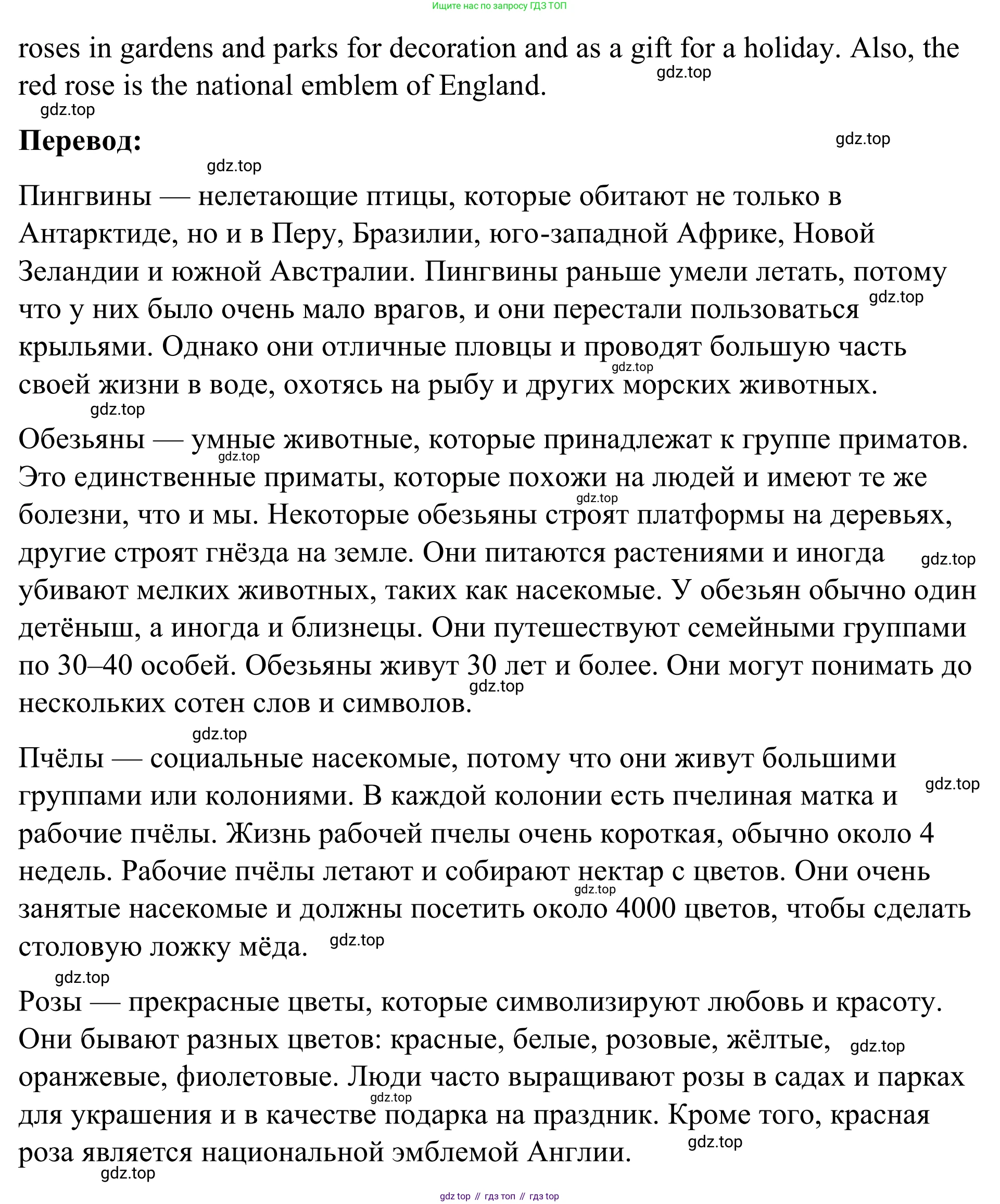 Английский язык (english), 7 класс Учебник, авторы: Афанасьева Ольга Васильевна (Afanasyeva Olga), Михеева Ирина Владимировна (Mikheeva Irina), Баранова Ксения Михайловна (Baranova Ksenia), издательство Просвещение, Москва, 2024, Часть 2, страница 44, номер 5, Решение 2024 (продолжение 2)