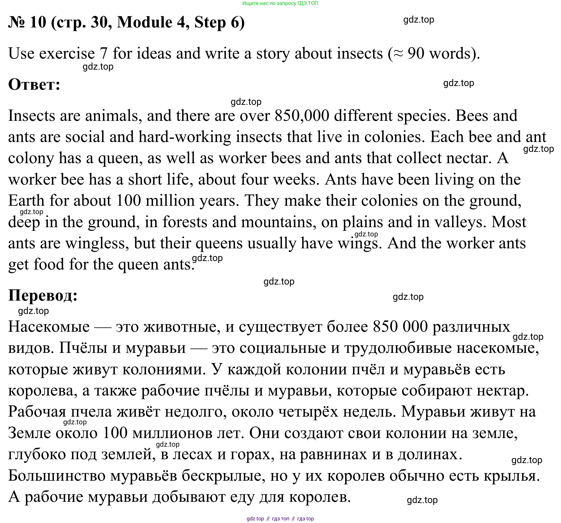 Английский язык (english), 7 класс Учебник, авторы: Афанасьева Ольга Васильевна (Afanasyeva Olga), Михеева Ирина Владимировна (Mikheeva Irina), Баранова Ксения Михайловна (Baranova Ksenia), издательство Просвещение, Москва, 2024, Часть 2, страница 30, номер 10, Решение 2024