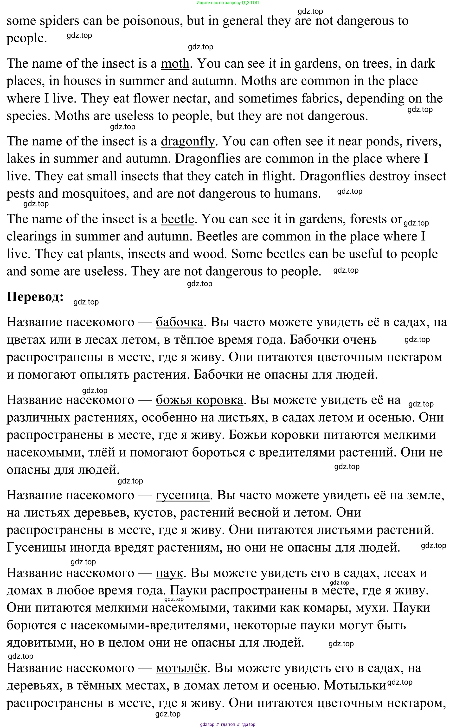Английский язык (english), 7 класс Учебник, авторы: Афанасьева Ольга Васильевна (Afanasyeva Olga), Михеева Ирина Владимировна (Mikheeva Irina), Баранова Ксения Михайловна (Baranova Ksenia), издательство Просвещение, Москва, 2024, Часть 2, страница 27, номер 5, Решение 2024 (продолжение 3)
