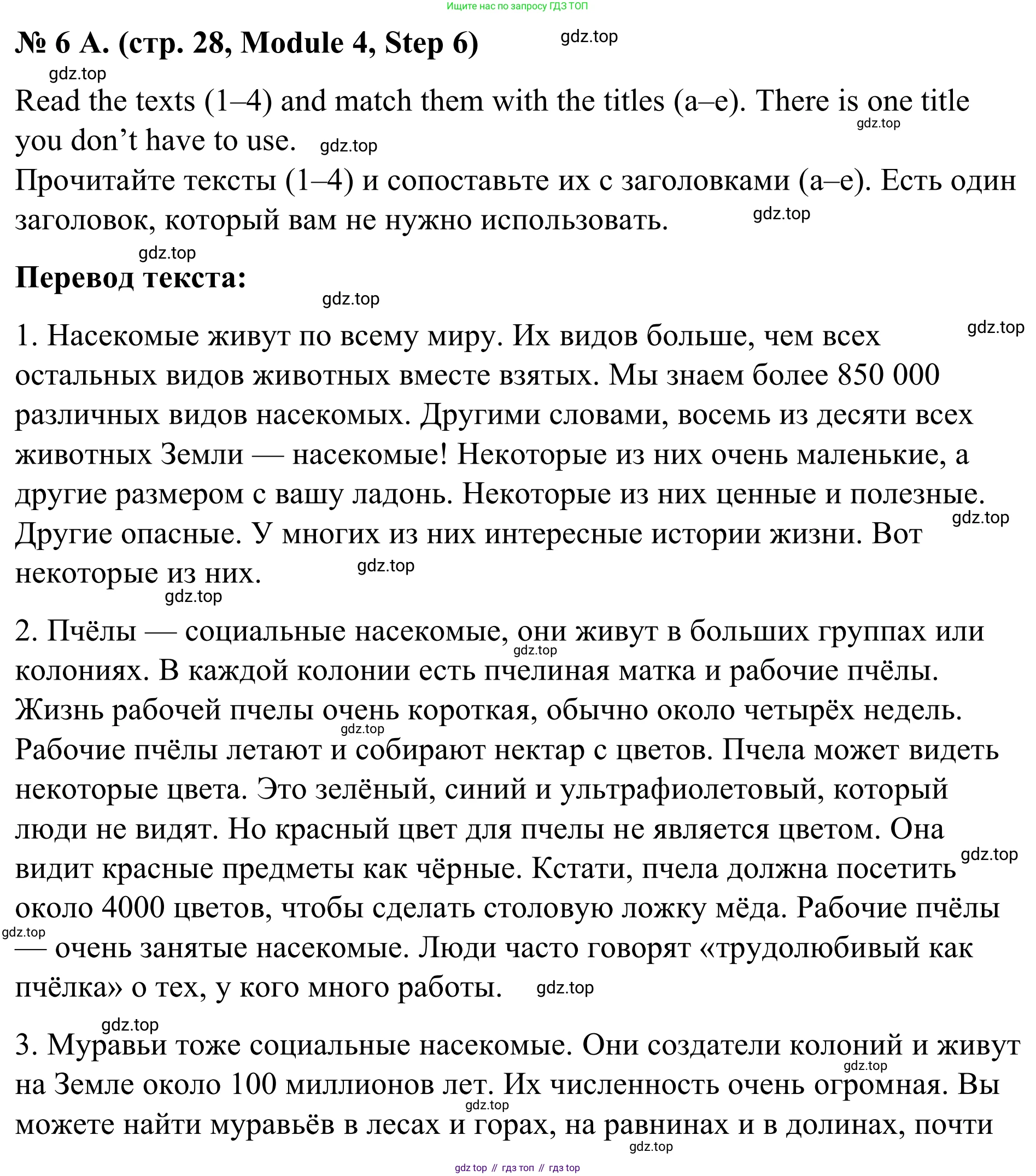 Английский язык (english), 7 класс Учебник, авторы: Афанасьева Ольга Васильевна (Afanasyeva Olga), Михеева Ирина Владимировна (Mikheeva Irina), Баранова Ксения Михайловна (Baranova Ksenia), издательство Просвещение, Москва, 2024, Часть 2, страница 28, номер 6, Решение 2024