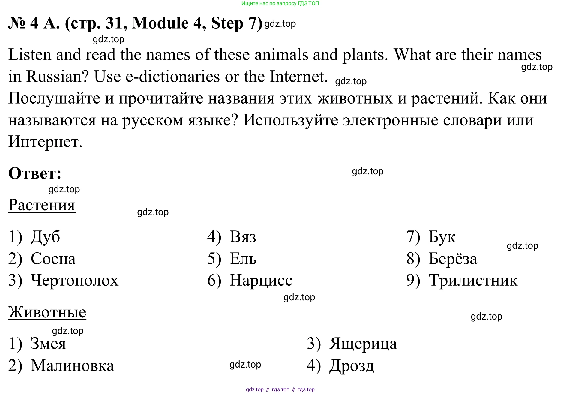 Английский язык (english), 7 класс Учебник, авторы: Афанасьева Ольга Васильевна (Afanasyeva Olga), Михеева Ирина Владимировна (Mikheeva Irina), Баранова Ксения Михайловна (Baranova Ksenia), издательство Просвещение, Москва, 2024, Часть 2, страница 31, номер 4, Решение 2024