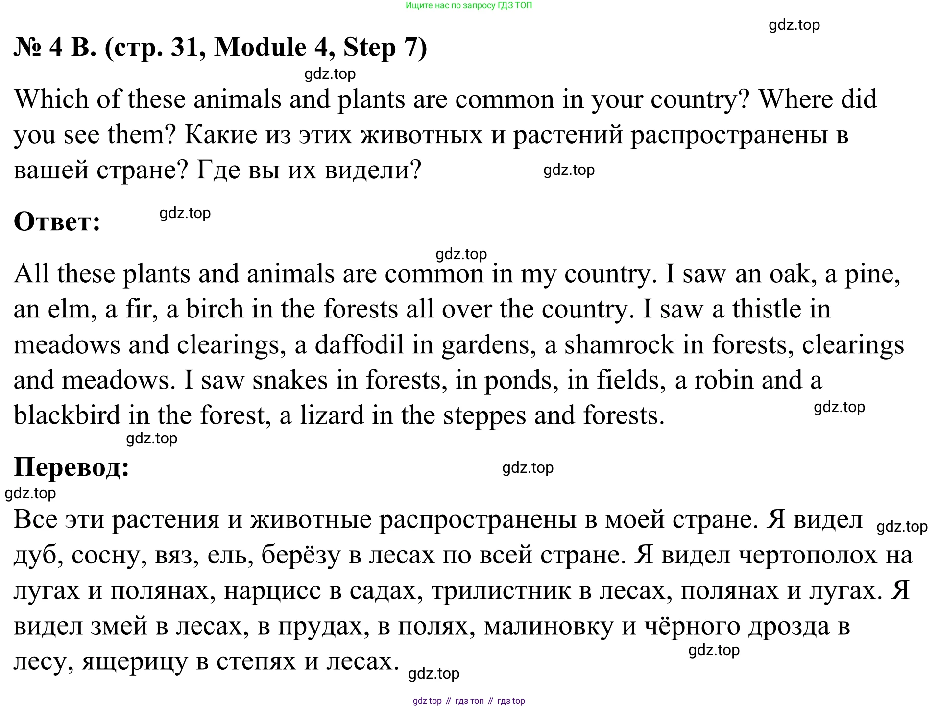 Английский язык (english), 7 класс Учебник, авторы: Афанасьева Ольга Васильевна (Afanasyeva Olga), Михеева Ирина Владимировна (Mikheeva Irina), Баранова Ксения Михайловна (Baranova Ksenia), издательство Просвещение, Москва, 2024, Часть 2, страница 31, номер 4, Решение 2024 (продолжение 2)