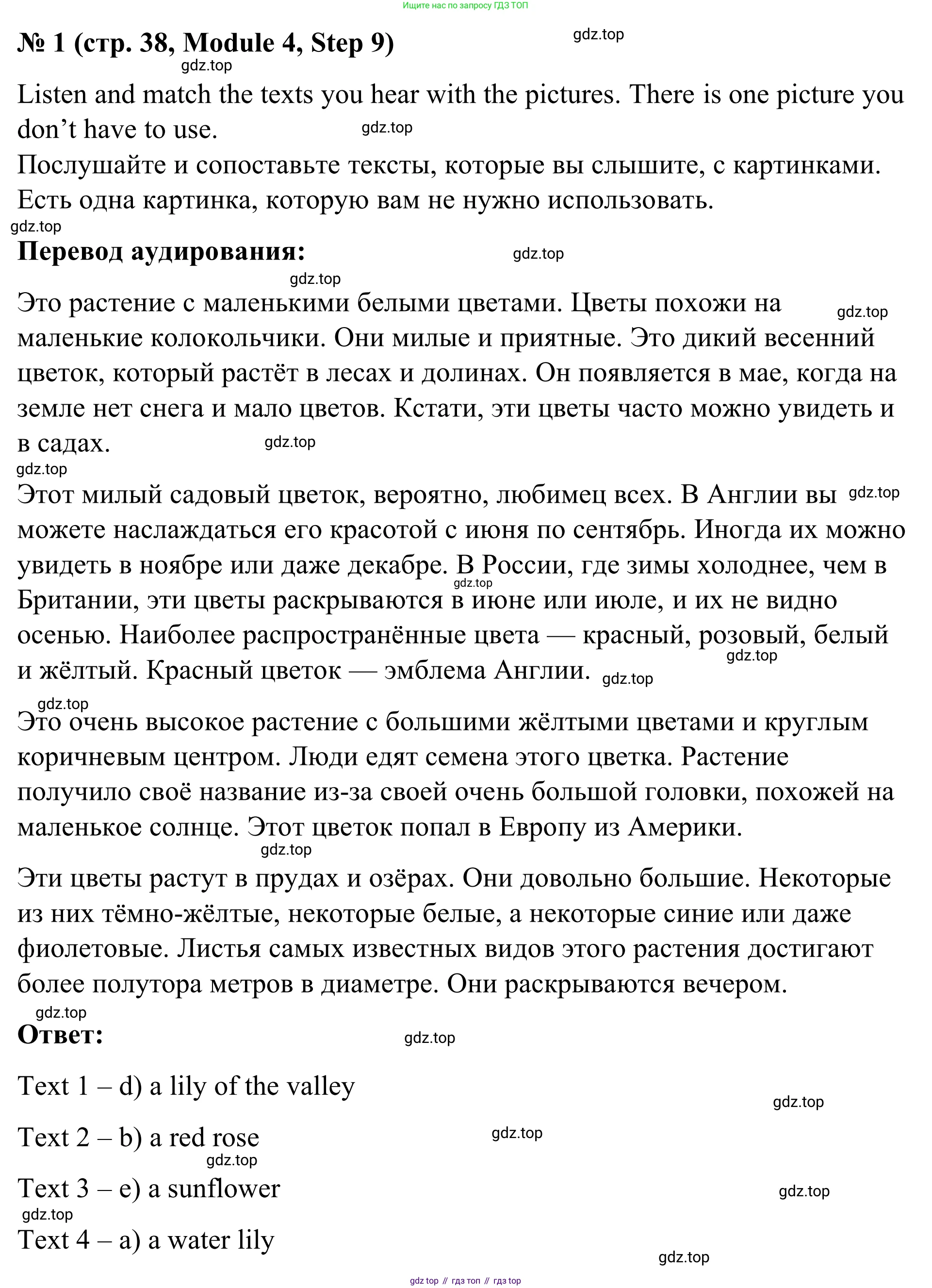 Английский язык (english), 7 класс Учебник, авторы: Афанасьева Ольга Васильевна (Afanasyeva Olga), Михеева Ирина Владимировна (Mikheeva Irina), Баранова Ксения Михайловна (Baranova Ksenia), издательство Просвещение, Москва, 2024, Часть 2, страница 38, номер 1, Решение 2024