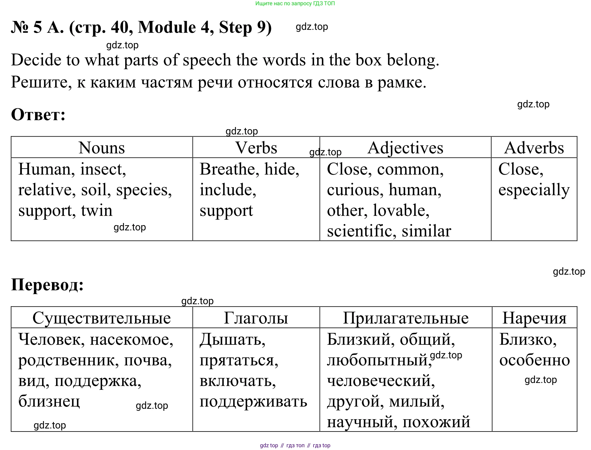 Английский язык (english), 7 класс Учебник, авторы: Афанасьева Ольга Васильевна (Afanasyeva Olga), Михеева Ирина Владимировна (Mikheeva Irina), Баранова Ксения Михайловна (Baranova Ksenia), издательство Просвещение, Москва, 2024, Часть 2, страница 40, номер 5, Решение 2024