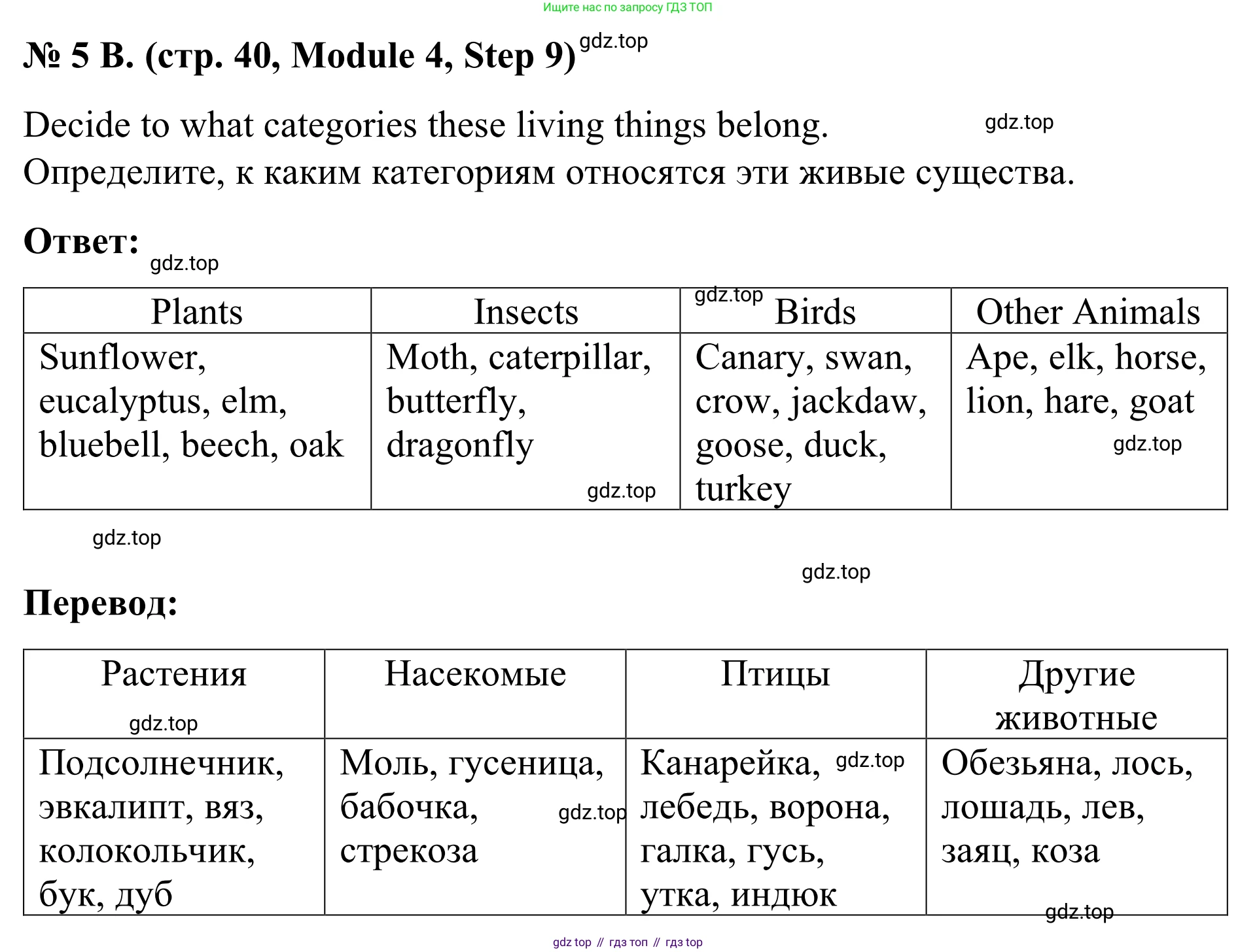 Английский язык (english), 7 класс Учебник, авторы: Афанасьева Ольга Васильевна (Afanasyeva Olga), Михеева Ирина Владимировна (Mikheeva Irina), Баранова Ксения Михайловна (Baranova Ksenia), издательство Просвещение, Москва, 2024, Часть 2, страница 40, номер 5, Решение 2024 (продолжение 2)
