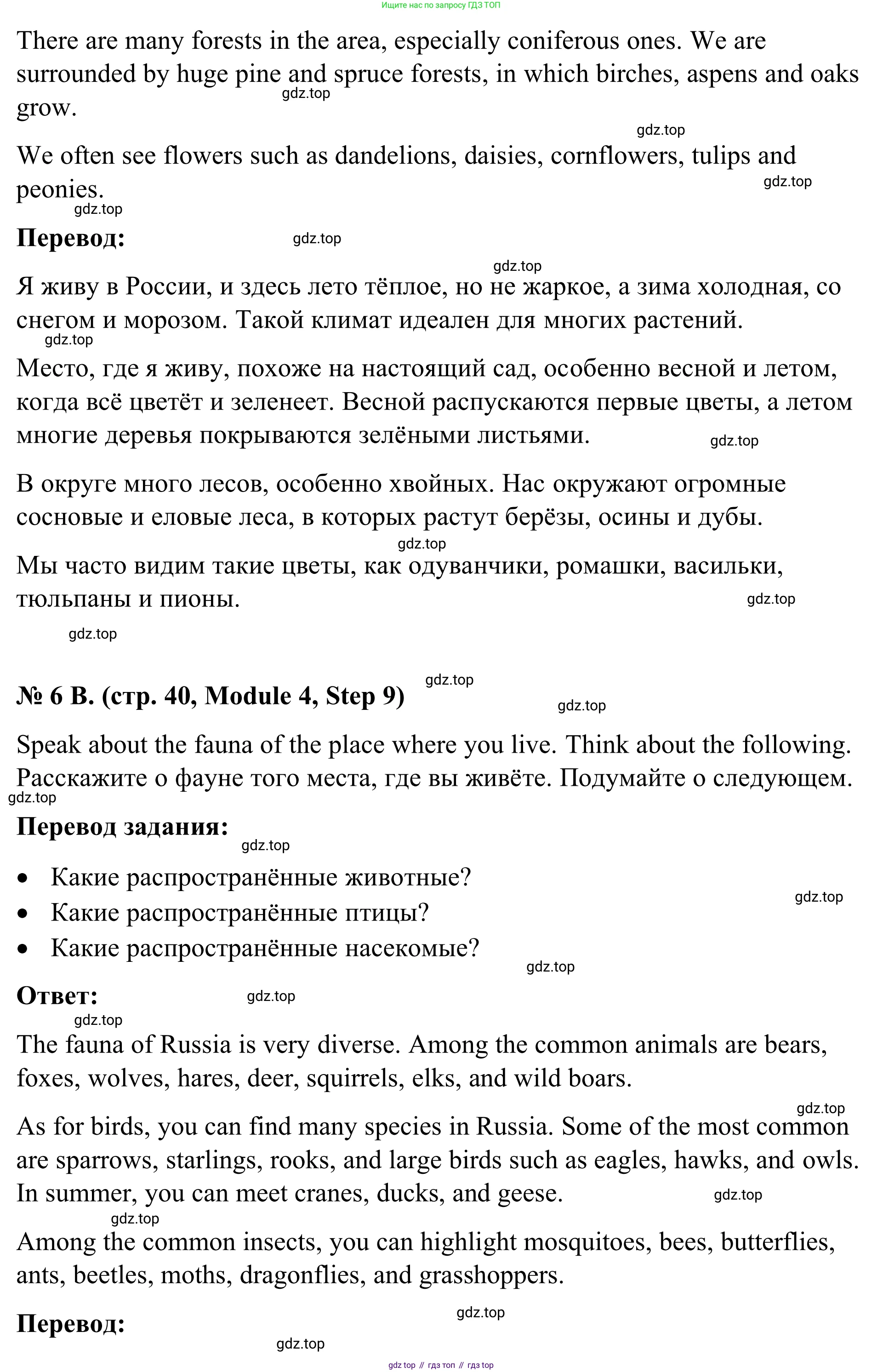 Английский язык (english), 7 класс Учебник, авторы: Афанасьева Ольга Васильевна (Afanasyeva Olga), Михеева Ирина Владимировна (Mikheeva Irina), Баранова Ксения Михайловна (Baranova Ksenia), издательство Просвещение, Москва, 2024, Часть 2, страница 40, номер 6, Решение 2024 (продолжение 2)