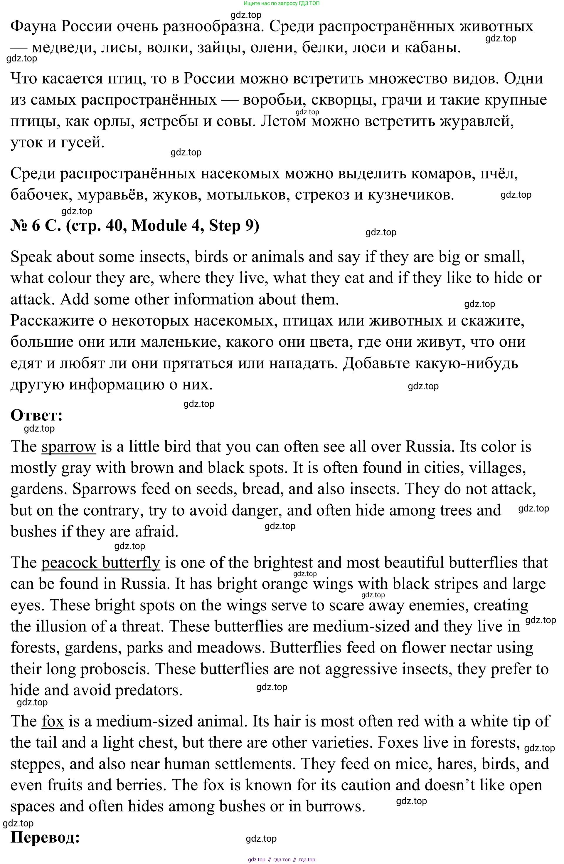 Английский язык (english), 7 класс Учебник, авторы: Афанасьева Ольга Васильевна (Afanasyeva Olga), Михеева Ирина Владимировна (Mikheeva Irina), Баранова Ксения Михайловна (Baranova Ksenia), издательство Просвещение, Москва, 2024, Часть 2, страница 40, номер 6, Решение 2024 (продолжение 3)