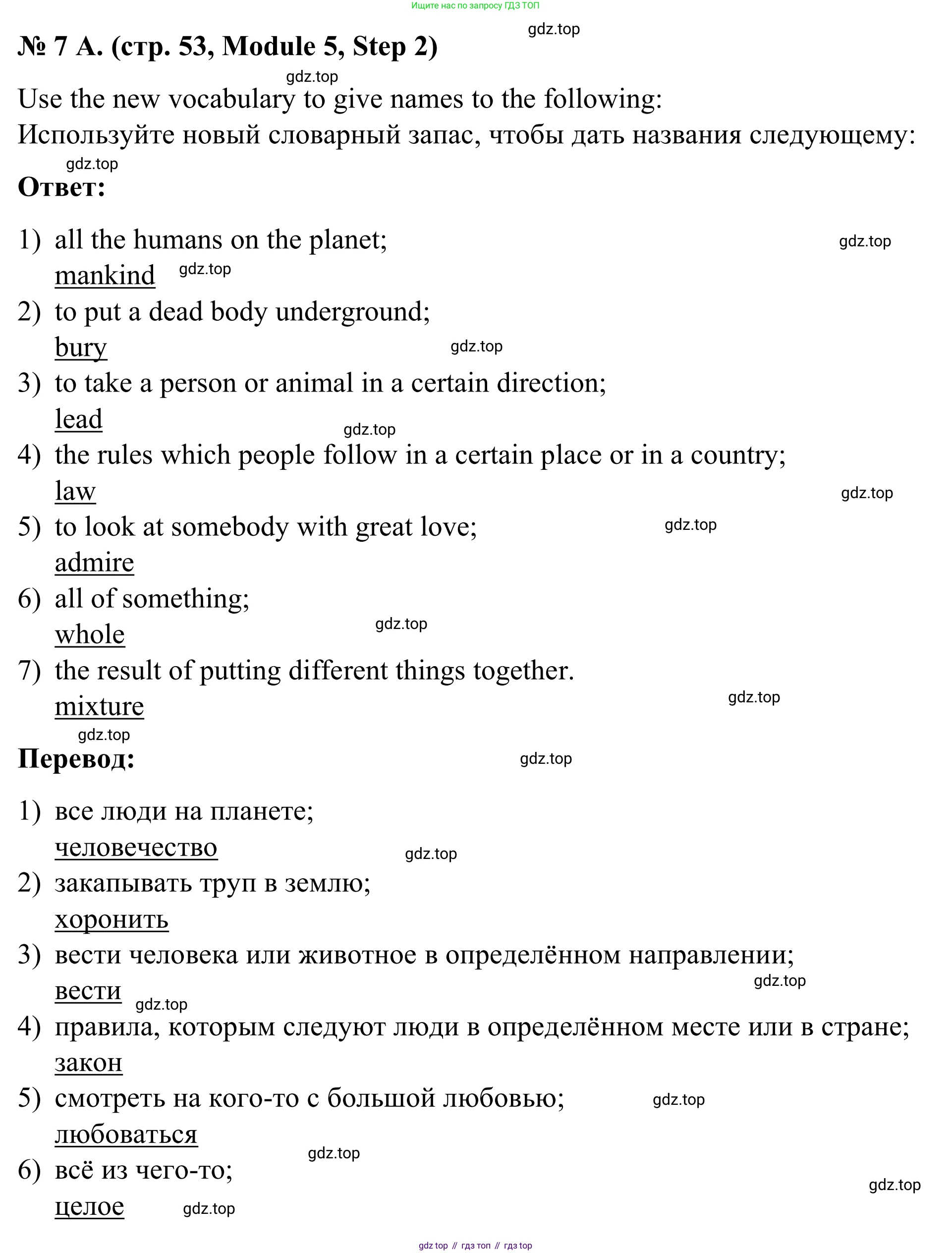 Английский язык (english), 7 класс Учебник, авторы: Афанасьева Ольга Васильевна (Afanasyeva Olga), Михеева Ирина Владимировна (Mikheeva Irina), Баранова Ксения Михайловна (Baranova Ksenia), издательство Просвещение, Москва, 2024, Часть 2, страница 53, номер 7, Решение 2024