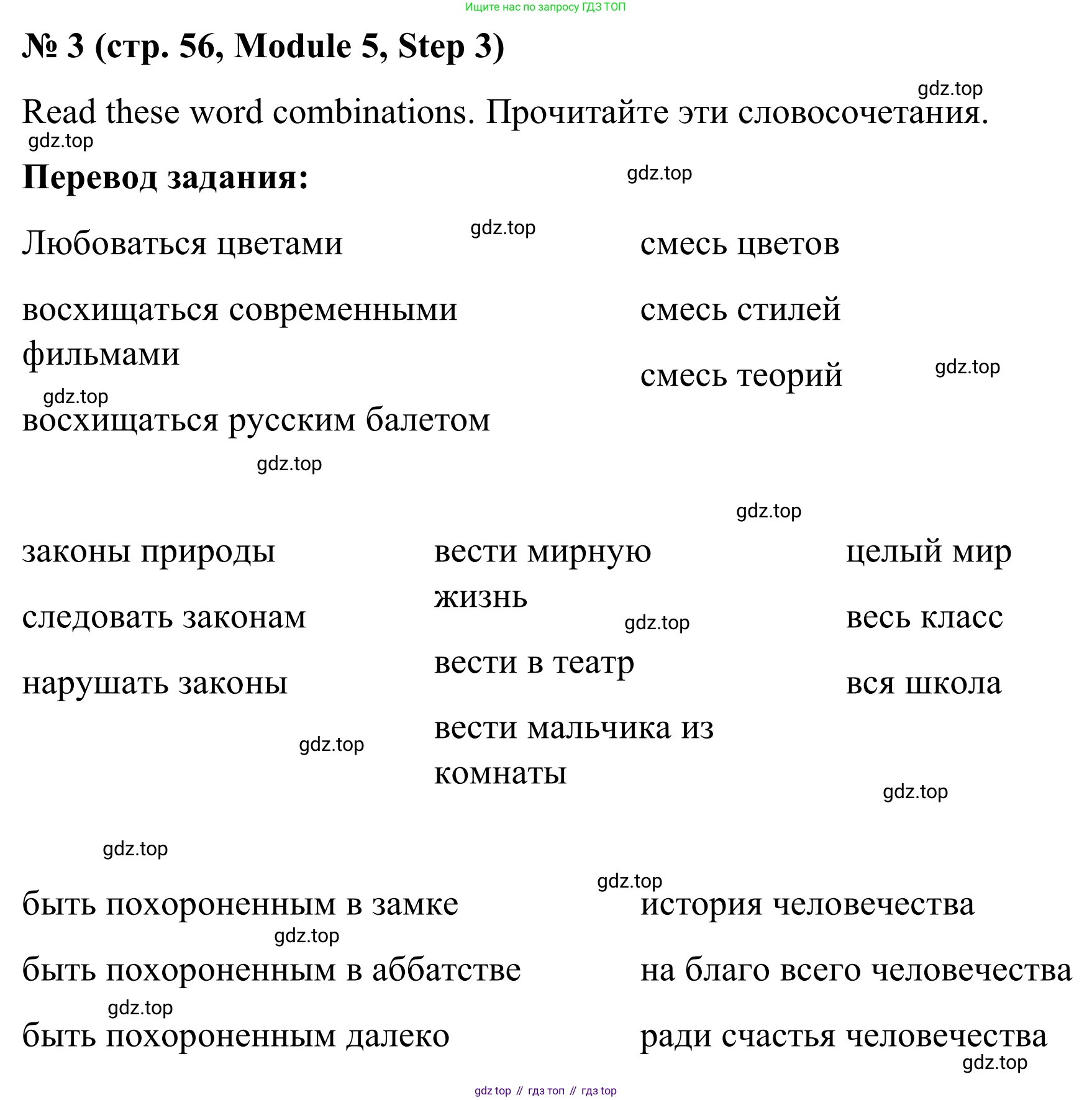 Английский язык (english), 7 класс Учебник, авторы: Афанасьева Ольга Васильевна (Afanasyeva Olga), Михеева Ирина Владимировна (Mikheeva Irina), Баранова Ксения Михайловна (Baranova Ksenia), издательство Просвещение, Москва, 2024, Часть 2, страница 56, номер 3, Решение 2024