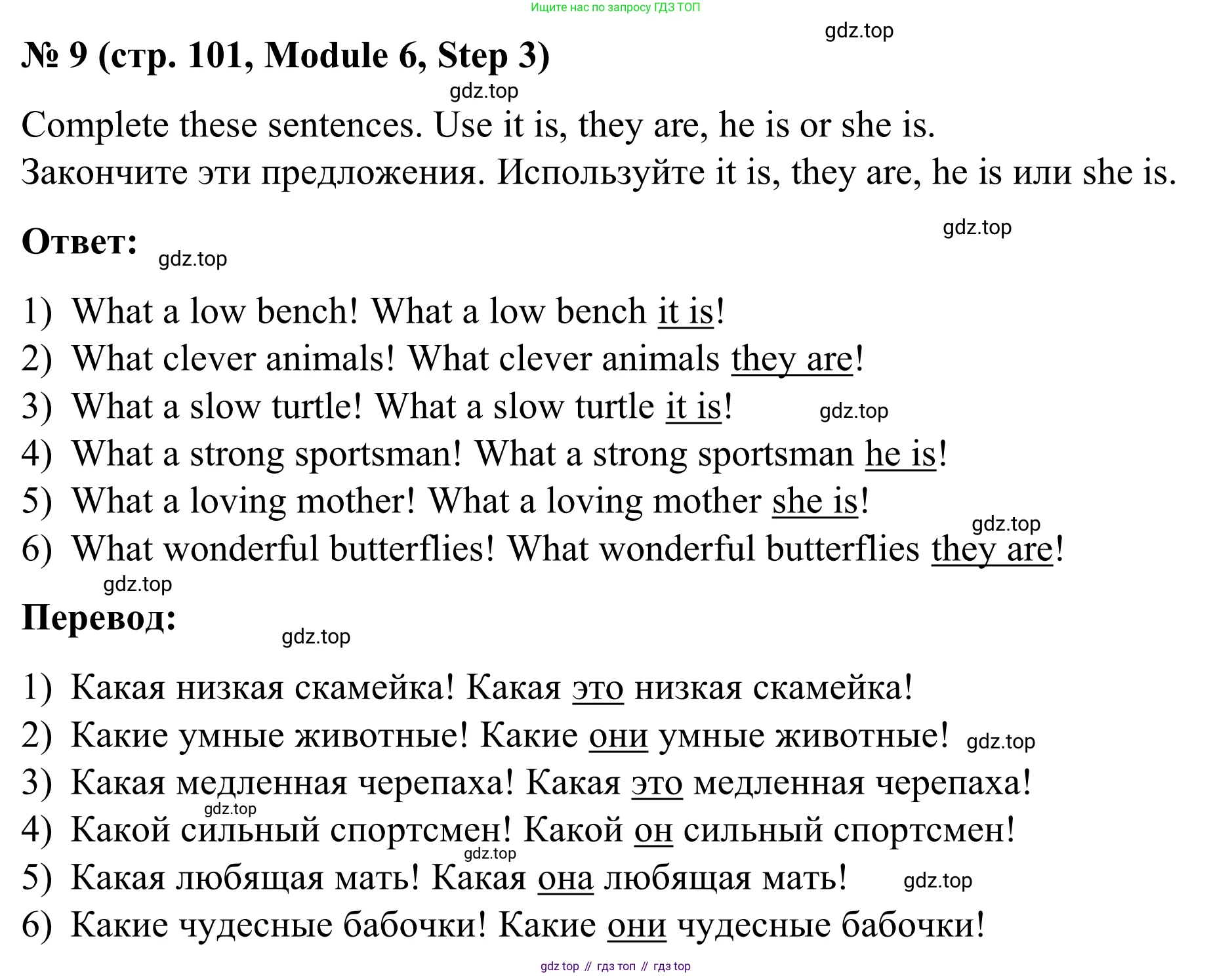 Английский язык (english), 7 класс Учебник, авторы: Афанасьева Ольга Васильевна (Afanasyeva Olga), Михеева Ирина Владимировна (Mikheeva Irina), Баранова Ксения Михайловна (Baranova Ksenia), издательство Просвещение, Москва, 2024, Часть 2, страница 101, номер 9, Решение 2024
