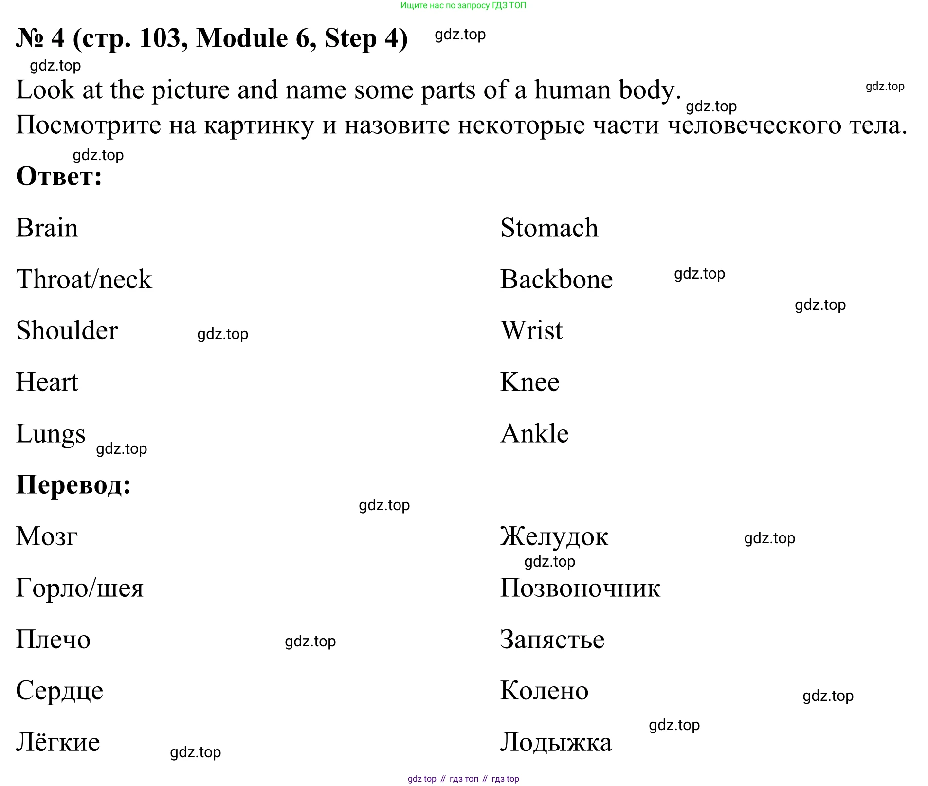 Английский язык (english), 7 класс Учебник, авторы: Афанасьева Ольга Васильевна (Afanasyeva Olga), Михеева Ирина Владимировна (Mikheeva Irina), Баранова Ксения Михайловна (Baranova Ksenia), издательство Просвещение, Москва, 2024, Часть 2, страница 103, номер 4, Решение 2024