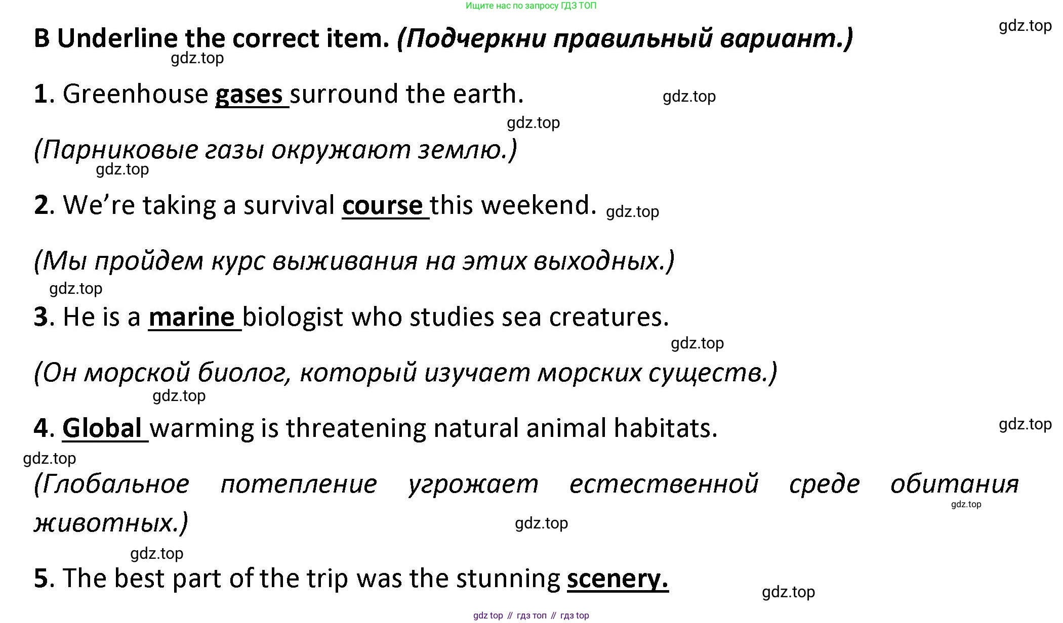 ГДЗ Английский язык (english), 7 класс контрольные задания (test booklet), авторы: Баранова Ксения Михайловна (Baranova Ksenia), Дули Дженни (Dooley Jenny), Мильруд Радислав Петрович (Millrood Radislav), Эванс Вирджиния (Evans Virginia), издательство Просвещение, Москва, 2023, серого цвета, страница 15, номер B, Решение 1 (2023-2027)